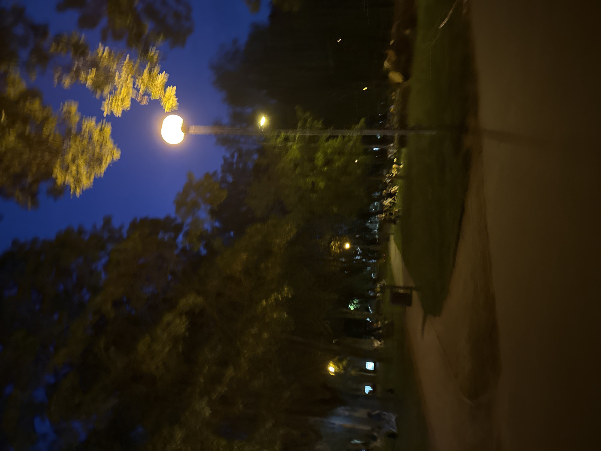 A wide shot captures a park at dusk or night. A tall lamp post with a glowing spherical light illuminates the scene, casting a warm light upwards. Trees with dense foliage frame the top of the image, with some leaves illuminated by the lamplight. The sky is a deep blue, indicating twilight or night. A paved pathway curves through the park. In the background, scattered groups of people are visible, some sitting on chairs or blankets on the grass. The overall impression is one of a peaceful evening gathering in an urban park.