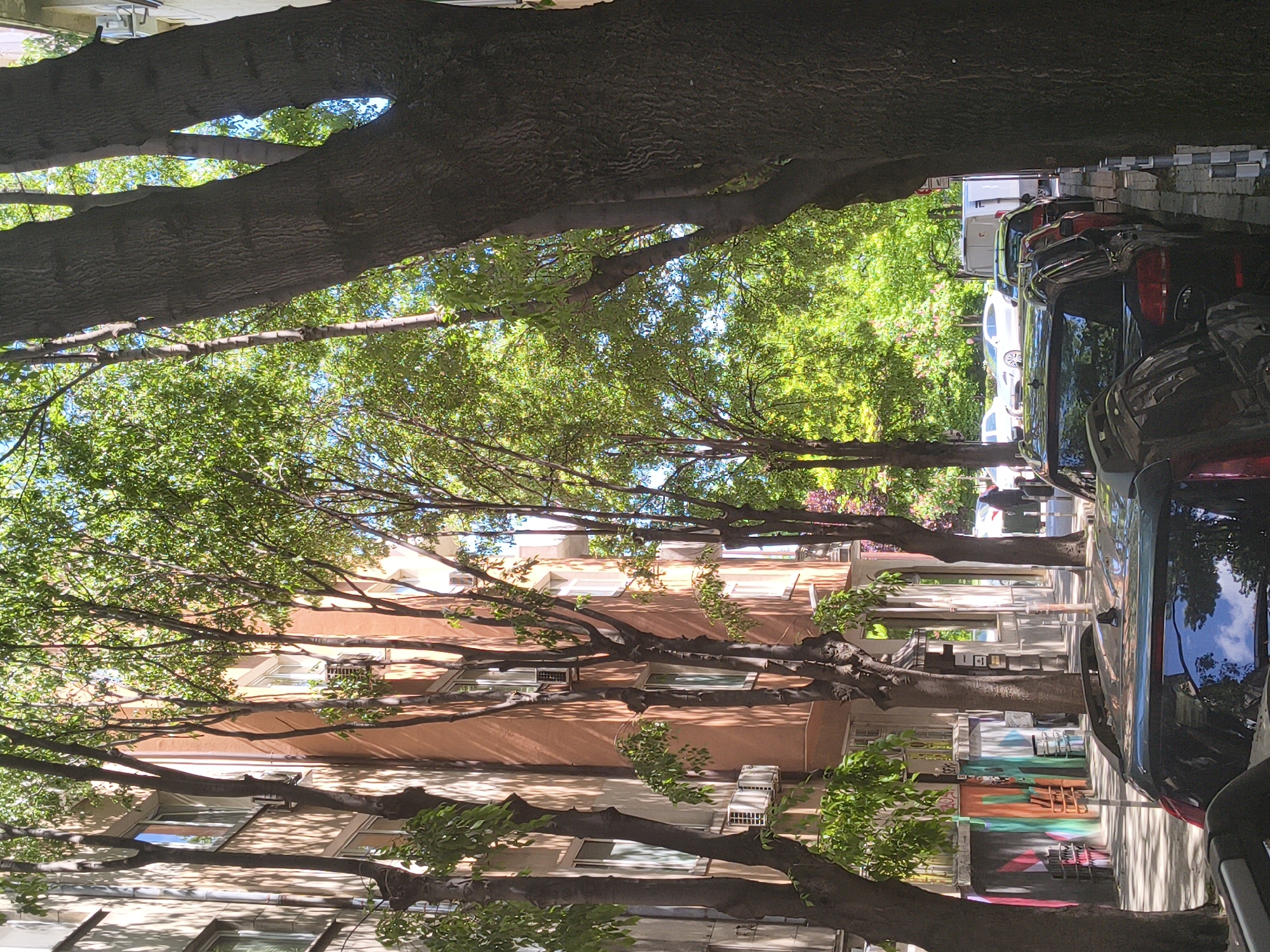 The image depicts a street in Sofia, Bulgaria, lined with mature trees that overhang the buildings and parked cars. The buildings appear to be residential, with peach-colored facades and numerous windows, some equipped with air conditioning units. The tree branches create a dense canopy, filtering the sunlight onto the street below. Parked cars occupy the right side of the street, while the building facades are visible on the left. A graffiti-covered wall is visible near the lower section of the street. People are walking on the sidewalk further up the street. The overall scene suggests a typical urban environment with a mix of nature and infrastructure.