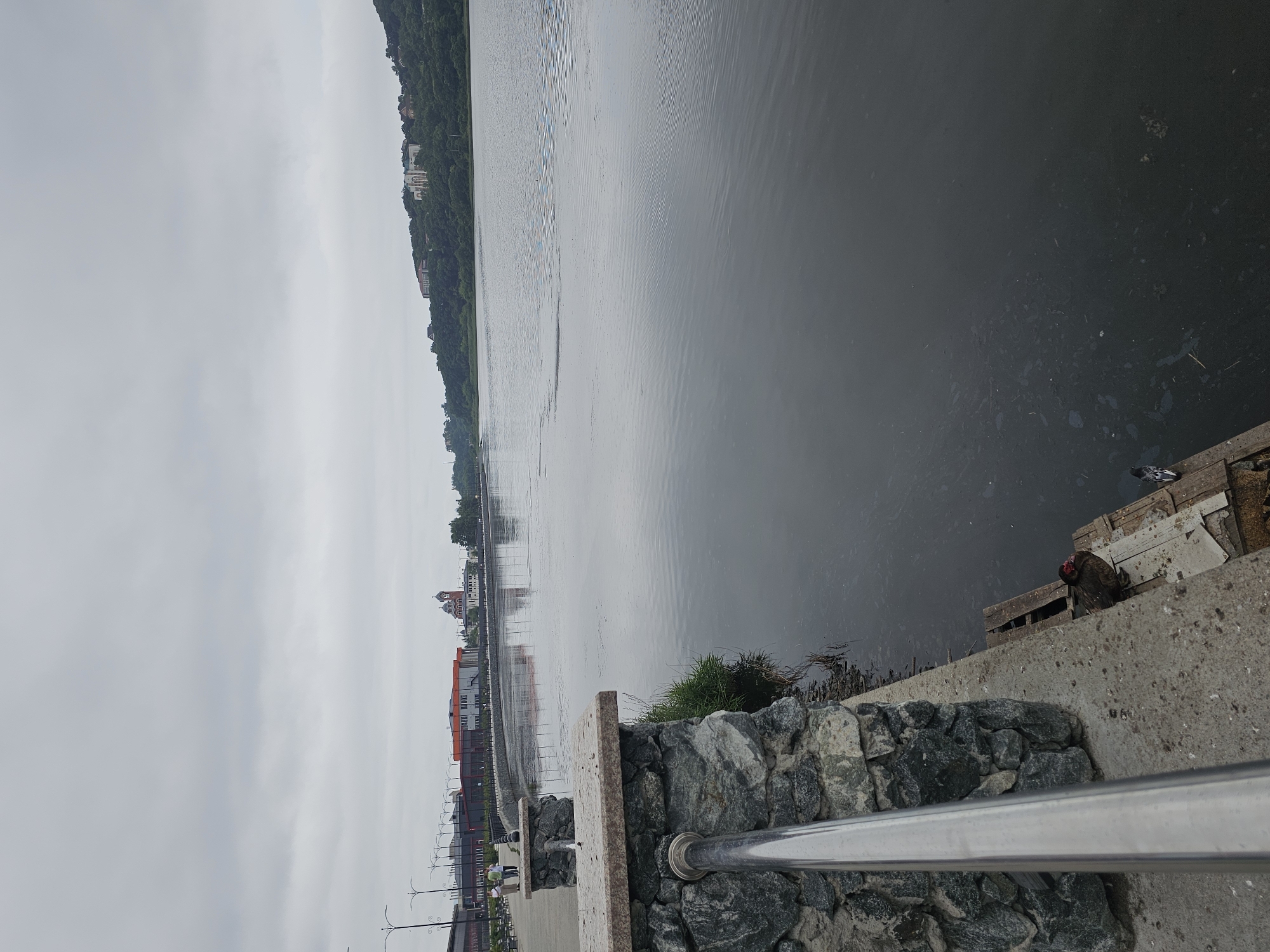 A cloudy day scene depicts a waterfront promenade in Nakhodka, Russia. In the foreground, a stone and metal railing runs along a concrete path. Beyond the railing, a body of water is visible, with a distant shoreline featuring green trees and buildings. On the right side of the foreground, two ducks are present on a wooden platform. The water exhibits a murky surface, with some debris floating on it. The sky is overcast, casting a muted light on the scene.