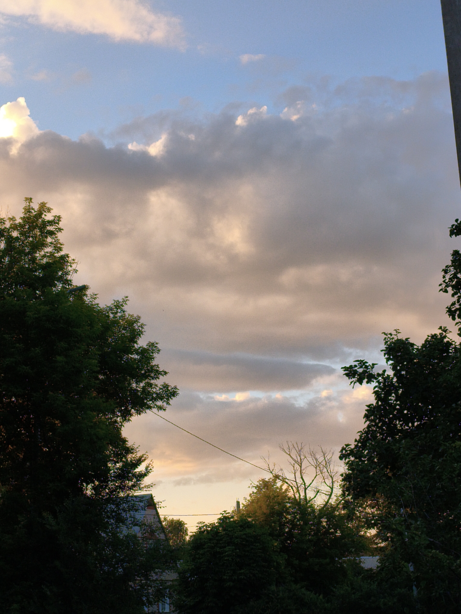 The image depicts a view of the sky and treetops in Orenburg, Russia, during what appears to be twilight or a cloudy day. The sky is a mix of blue and grey clouds, with some patches of pinkish-yellow light suggesting the setting or rising sun. Tall, dark green trees frame the bottom and sides of the image. In the background, partially obscured by trees, is the roofline of a building. A utility wire is visible stretching horizontally across the frame. The overall impression is of a natural scene within an urban or suburban environment.