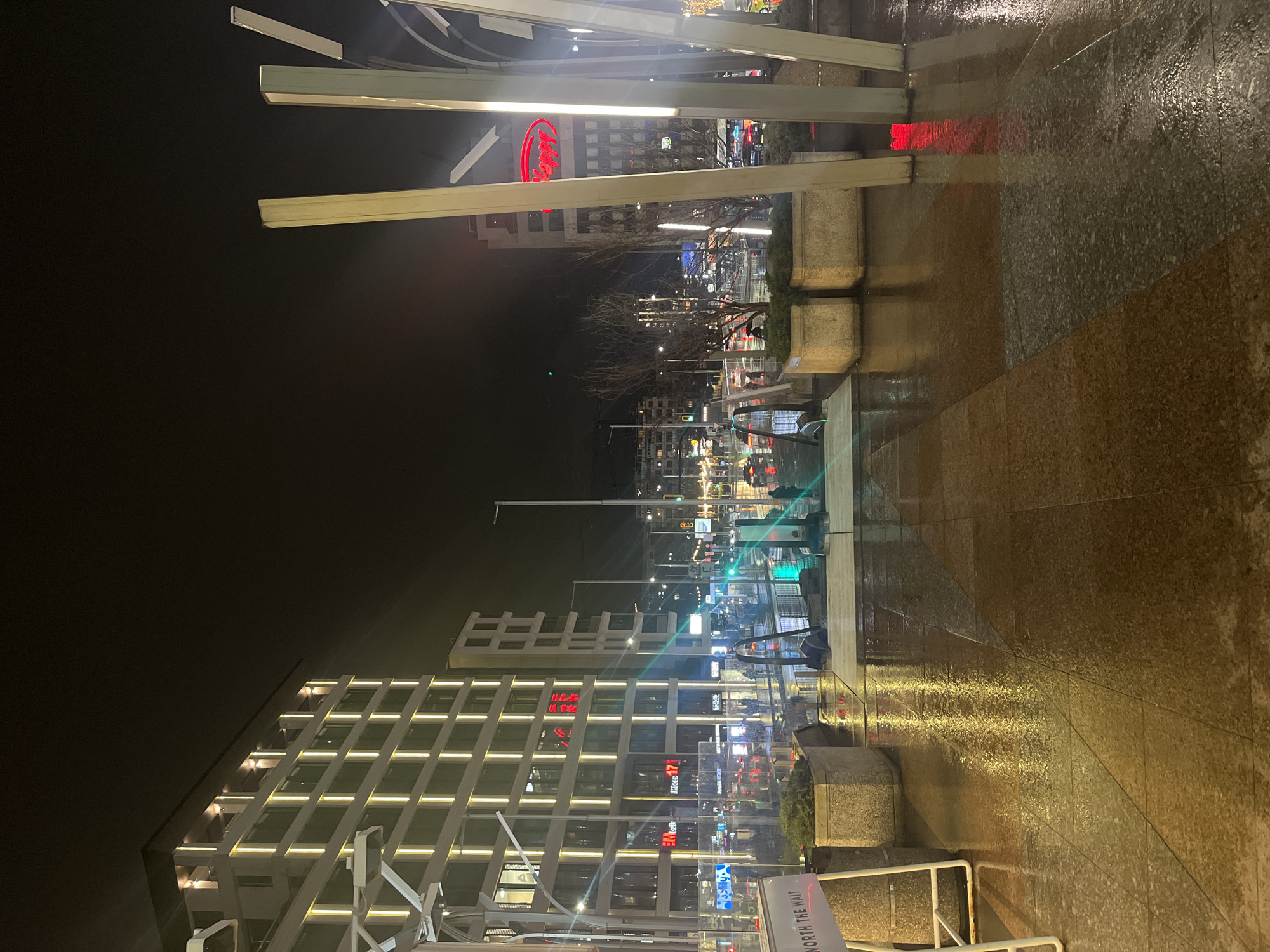 The image depicts a nighttime view in Sofia, Bulgaria, likely on Vitosha Boulevard, based on architectural styles and visible signs. The foreground features an illuminated modern building with a grid-like facade. Street lamps and building lights reflect on wet pavement. In the mid-ground, there are trees and pedestrian traffic. The background shows a building with a prominent red 'Fantastico' supermarket logo. The scene suggests a rainy or wet evening in a commercial district.