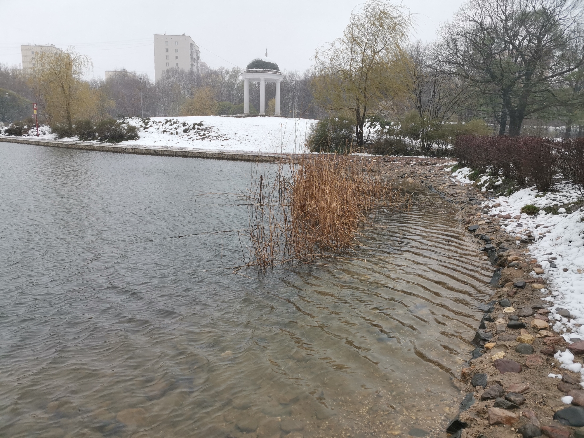 This image presents an overcast daytime scene of a park or garden in Moscow, Russia, during what appears to be early spring or late autumn, characterized by patches of snow on the ground and mostly bare trees.
The foreground features a calm body of water, likely a lake or large pond, with gentle ripples on its surface. The water near the edge is clear, revealing small stones on the bed. A cluster of dry, brown reeds grows out of the water on the right side, bordering a rocky shoreline where small stones and patches of melting snow are visible.
The middle ground showcases the park's landscape. On the left bank, a concrete edge or path runs along the water, beyond which are snow-dusted ground and various trees, including a light-colored, slender-branched tree. Prominently situated on a snowy hill further back is a classical-style white gazebo with a dark, domed roof and supporting columns.
The background is dominated by a misty, overcast sky. Through the haze, several tall, light-colored apartment buildings are discernible, indicating the park's urban setting. Various deciduous trees, mostly bare or with sparse foliage, are scattered across the landscape. On the left bank, a red and white signpost is visible, but no text can be read.
No people are present in the scene, and no specific activities are taking place, conveying a sense of quiet solitude and stillness. The weather is cold and damp, suggested by the low-hanging clouds and snow.