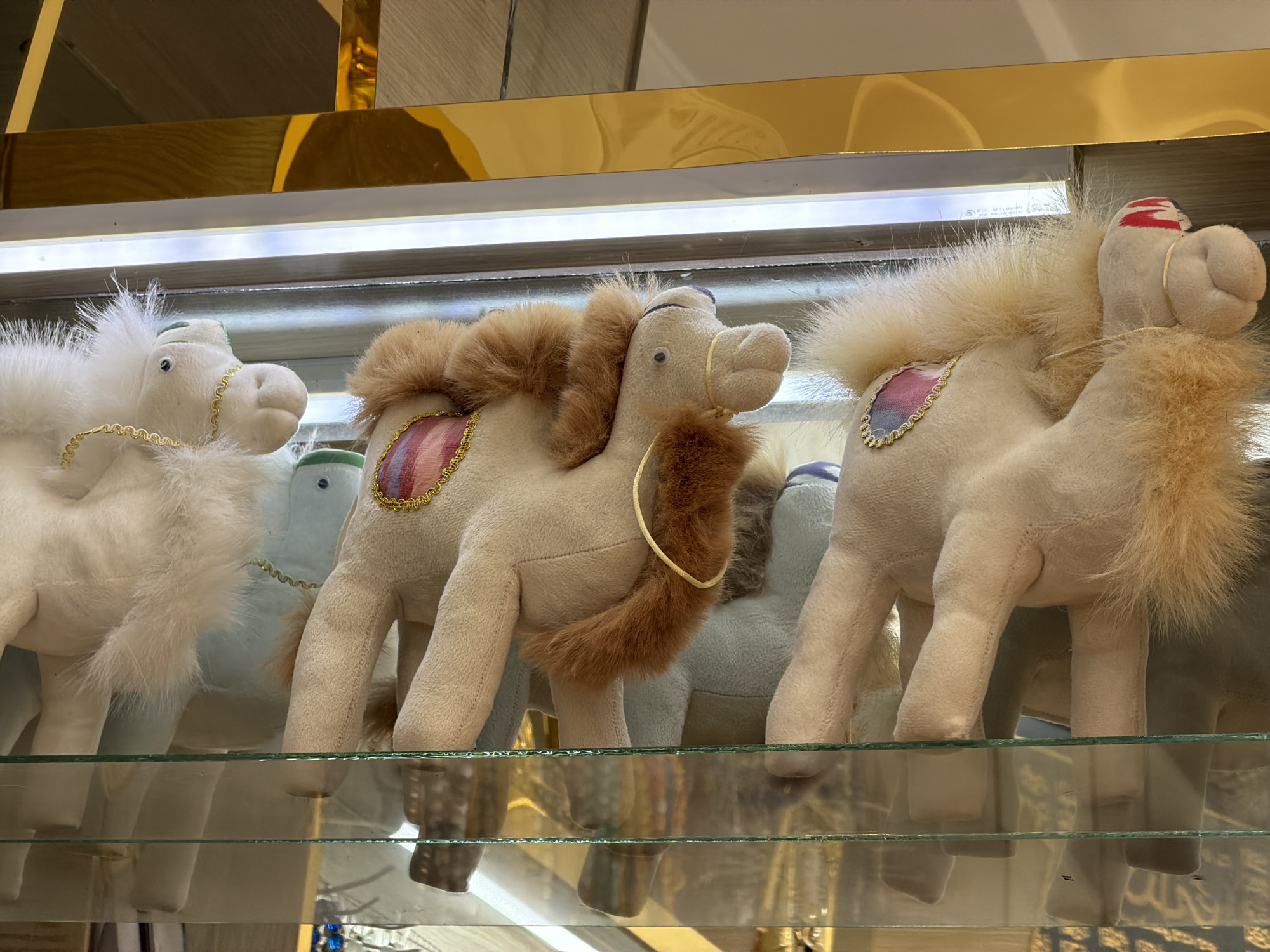 A close-up, eye-level shot shows a display of plush stuffed camels with two humps and fluffy manes. The camels are arranged on a glass shelf in front of a reflective golden background. The lighting appears to be from above, creating a bright and illuminated display. One white camel is on the far left, followed by two beige camels. The beige camels have decorative patches on their sides featuring a colorful striped pattern and gold trim. One of the beige camels has a red and white striped detail on its head. In the background, behind the beige camels, are hints of lighter colored plush animals, possibly also camels, some appearing pale blue. The display is illuminated by a strip light above the shelf. The setting appears to be a retail environment, likely a souvenir shop or a gift store in Zangiata, Uzbekistan, given the context of the city. The reflections on the glass shelf indicate additional layers of shelving below, also containing reflective surfaces and potentially more merchandise.