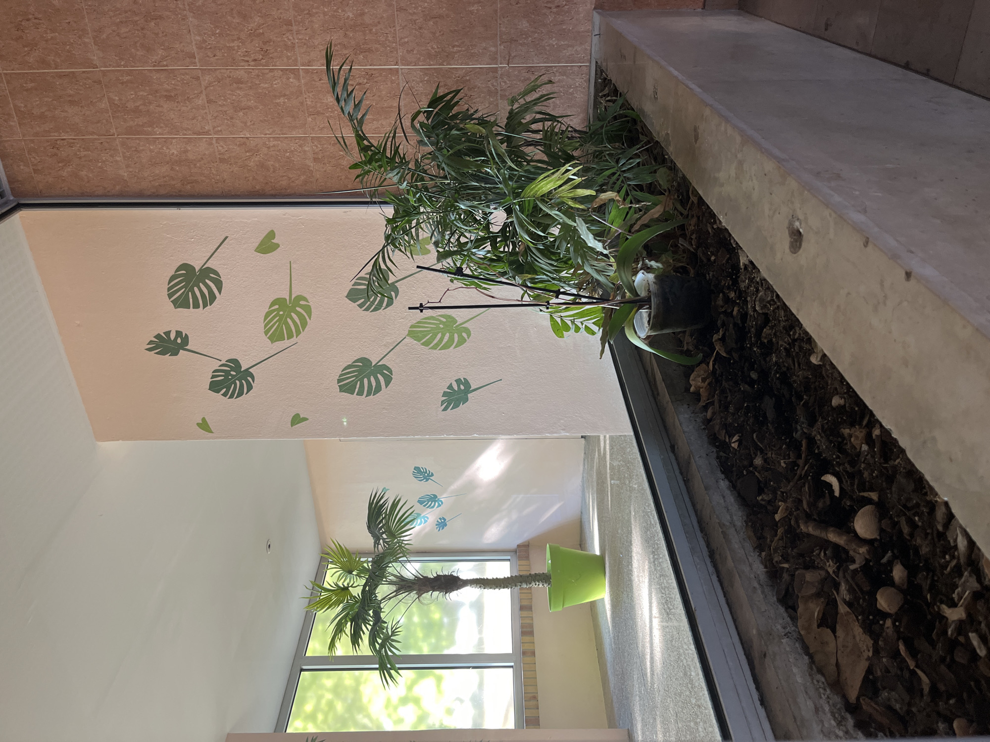 The image depicts an interior hallway with a large planter box running along the wall. The planter box contains soil, debris, and several plants, including a tall, leafy palm-like plant and what appears to be an orchid in a plastic pot. The wall on the right is covered in reddish-brown square tiles. The wall on the left is painted a light pink and features decorative green leaf stencils. A large window or glass partition is present, reflecting the exterior and a large potted palm tree with a bright green pot situated in what appears to be a sunlit area. The flooring is a speckled gray. The scene is well-lit, with sunlight casting shadows and highlights. This hallway is located in the city of Fresnes, France.