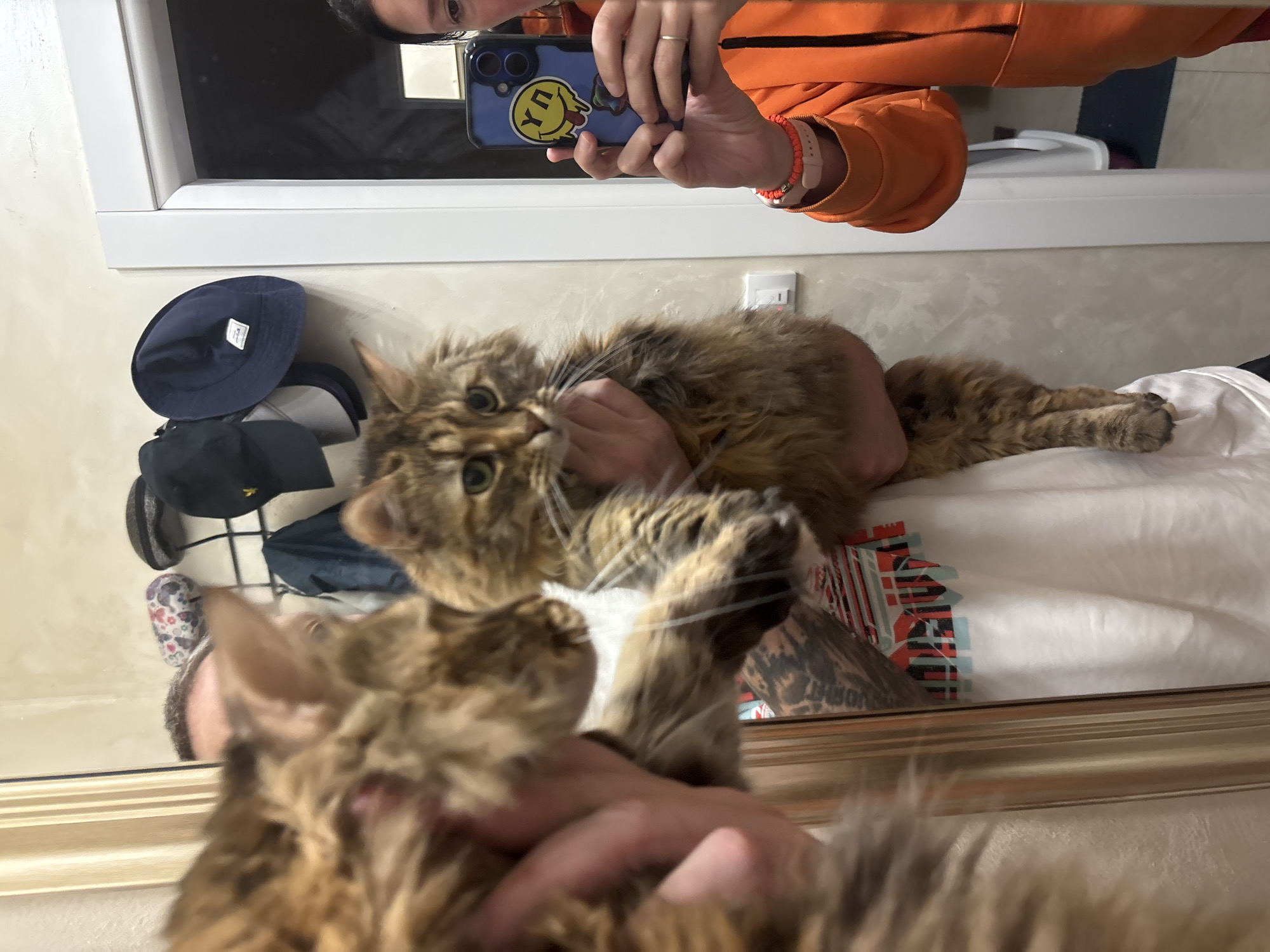 A person wearing an orange hoodie is taking a selfie in a mirror, holding a cell phone with a smiley face sticker on the case. The person is holding a brown tabby cat. In the reflection, one can see various hats, a person’s head and arm with a tattoo, and a white t-shirt. It is not possible to determine the location is Bar, Montenegro from the image.