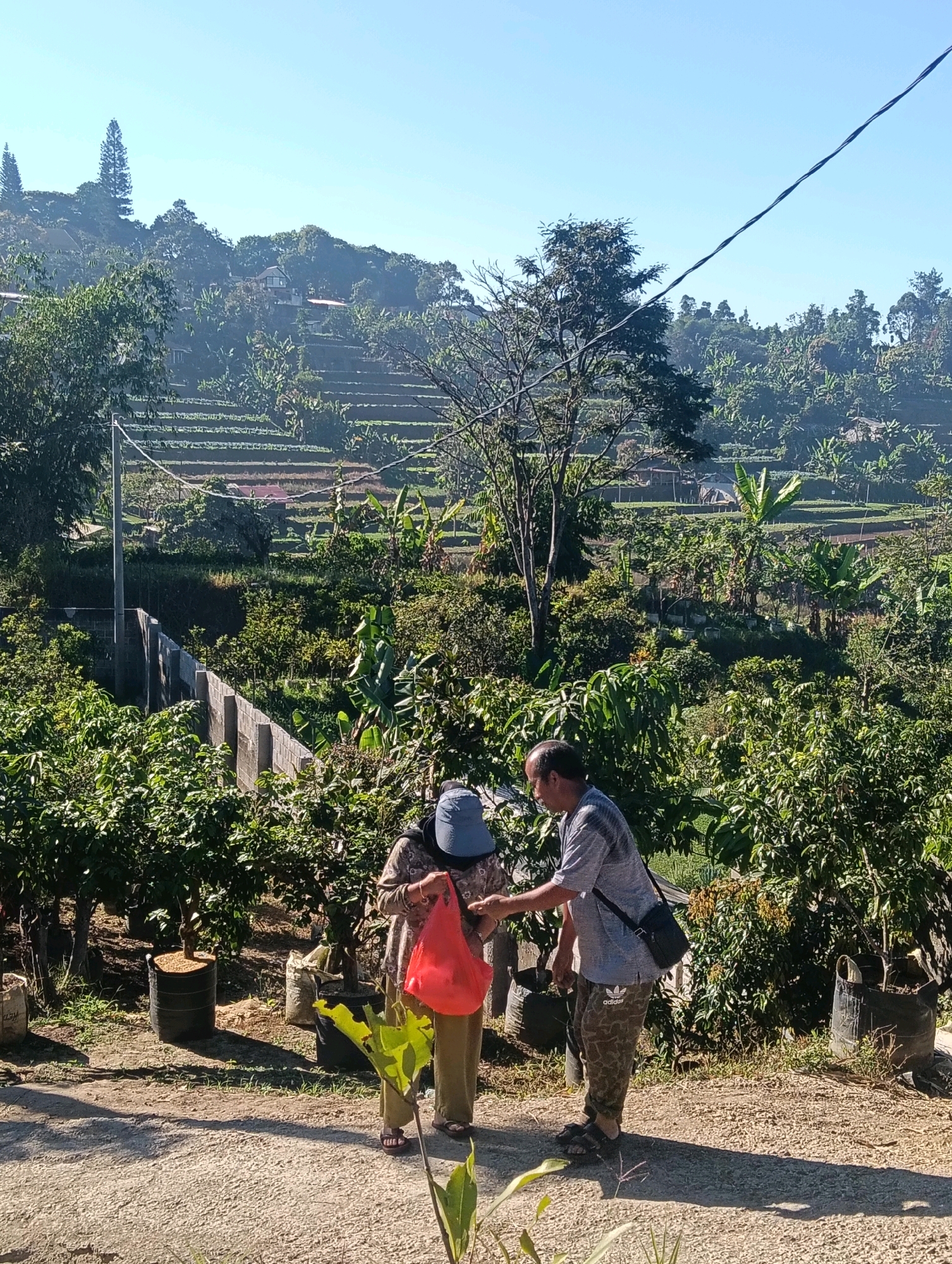In Gudangkahuripan, Indonesia, on a sunny day, a man wearing camouflage pants and a gray t-shirt with a black crossbody bag is handing a red bag to a woman wearing a blue headscarf and brown and tan patterned clothing. The woman is holding the red bag with her left hand and has her right hand extended towards the man. They are standing outdoors amidst lush greenery. Behind them, a terraced hillside is visible, covered with vegetation and some small buildings. The sky is clear and blue.