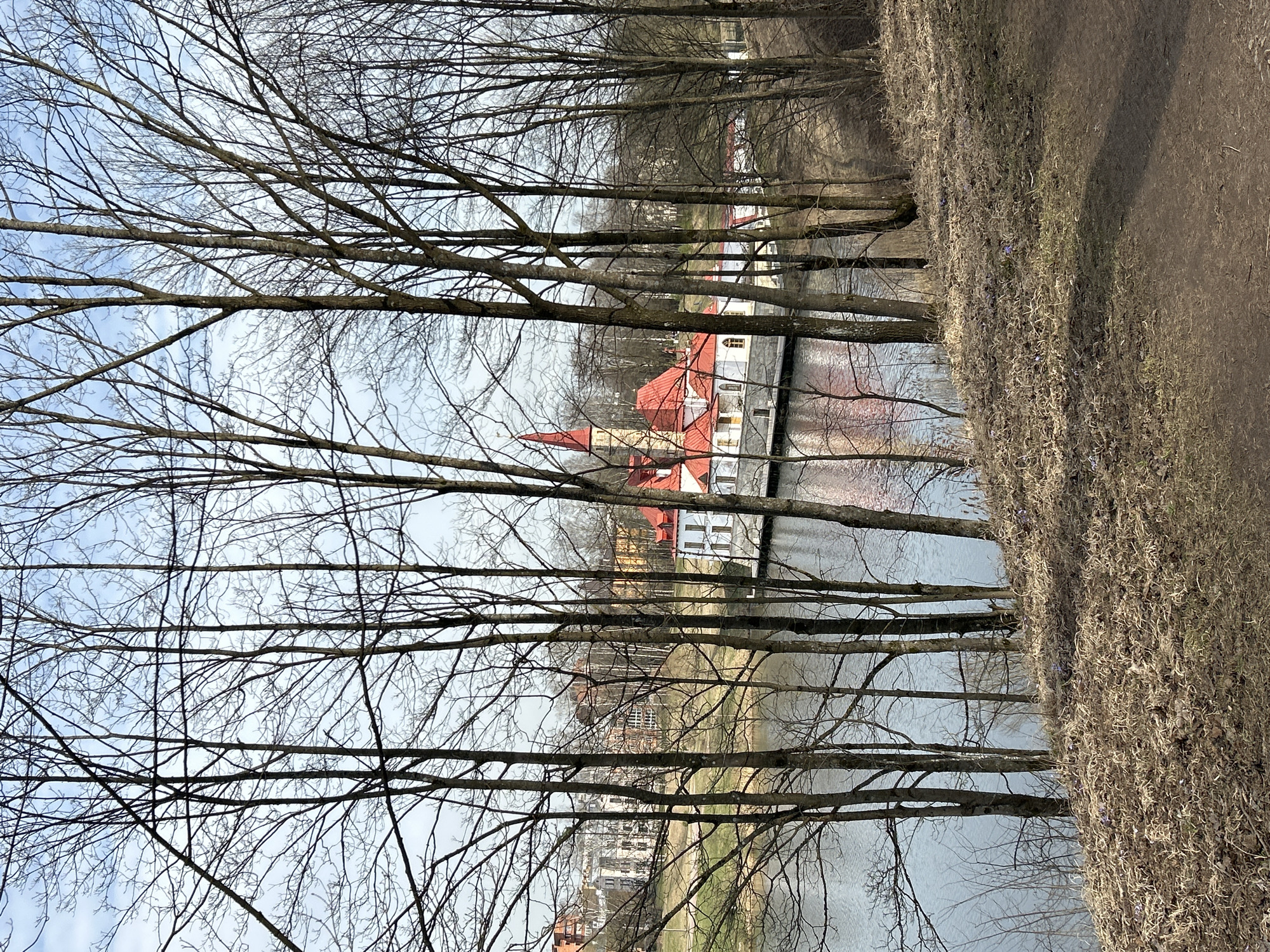 The image shows a view of a building with a red roof across a body of water, partially obscured by bare tree branches. The building is white with multiple windows and appears to be several stories high. The water reflects the building and the sky. On the right side of the image, there is a grassy bank or path. The overall scene is muted in color, suggesting a cold or overcast day. The location appears to be a park or similar area in an urban setting.