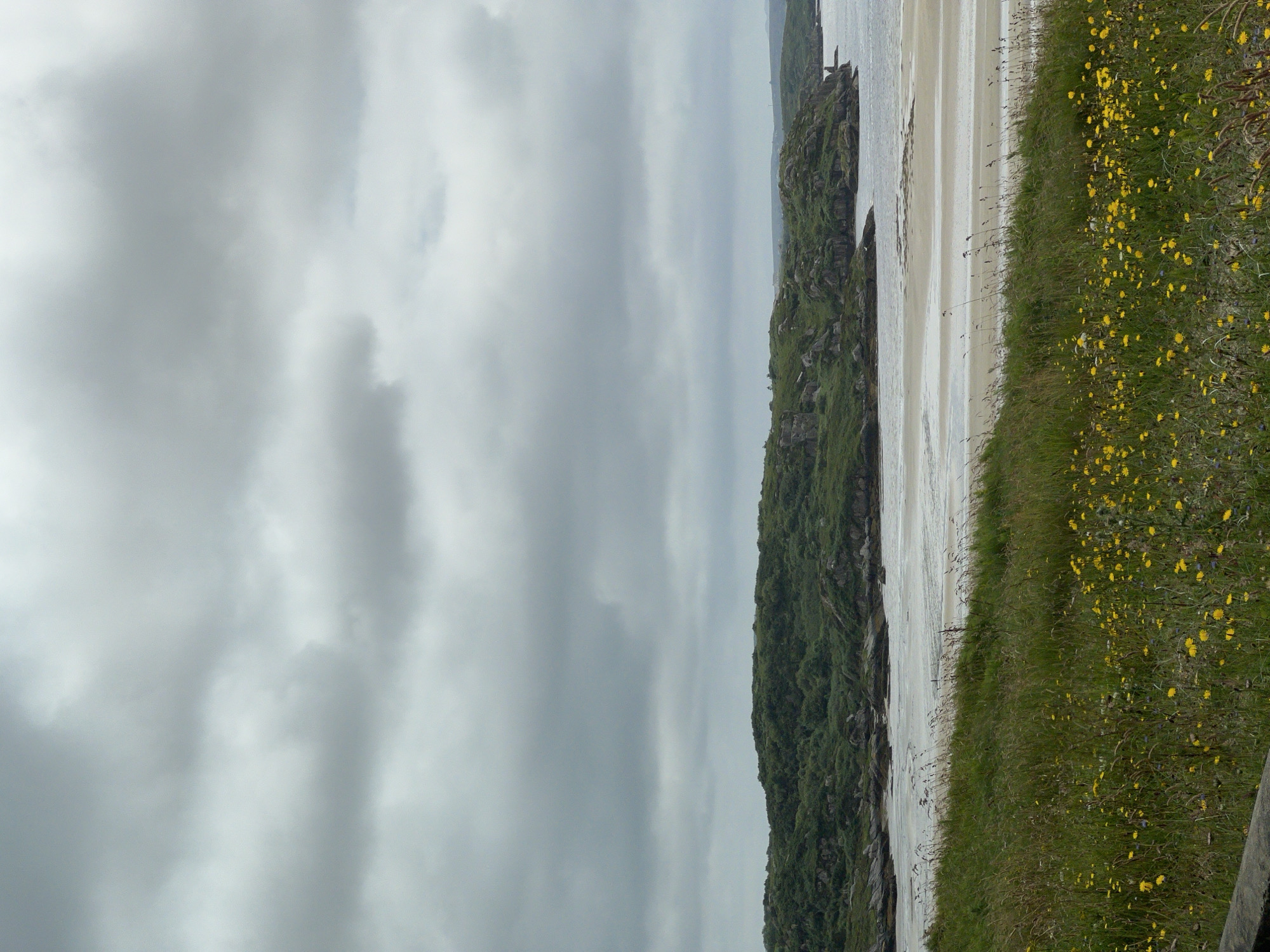 The image depicts a coastal landscape under a cloudy sky. In the foreground, a grassy slope is covered with numerous small yellow flowers and tall grass. Beyond the grassy area is a wide sandy beach with gentle waves lapping at its edge. In the background, a green, undulating hillside with rocky outcrops rises from the shore. The sea extends to the horizon, where it meets the gray, overcast sky. The overall impression is one of a natural, somewhat rugged coastal environment. The location appears to be a beach with a view of the sea, hills, and a cloudy sky.