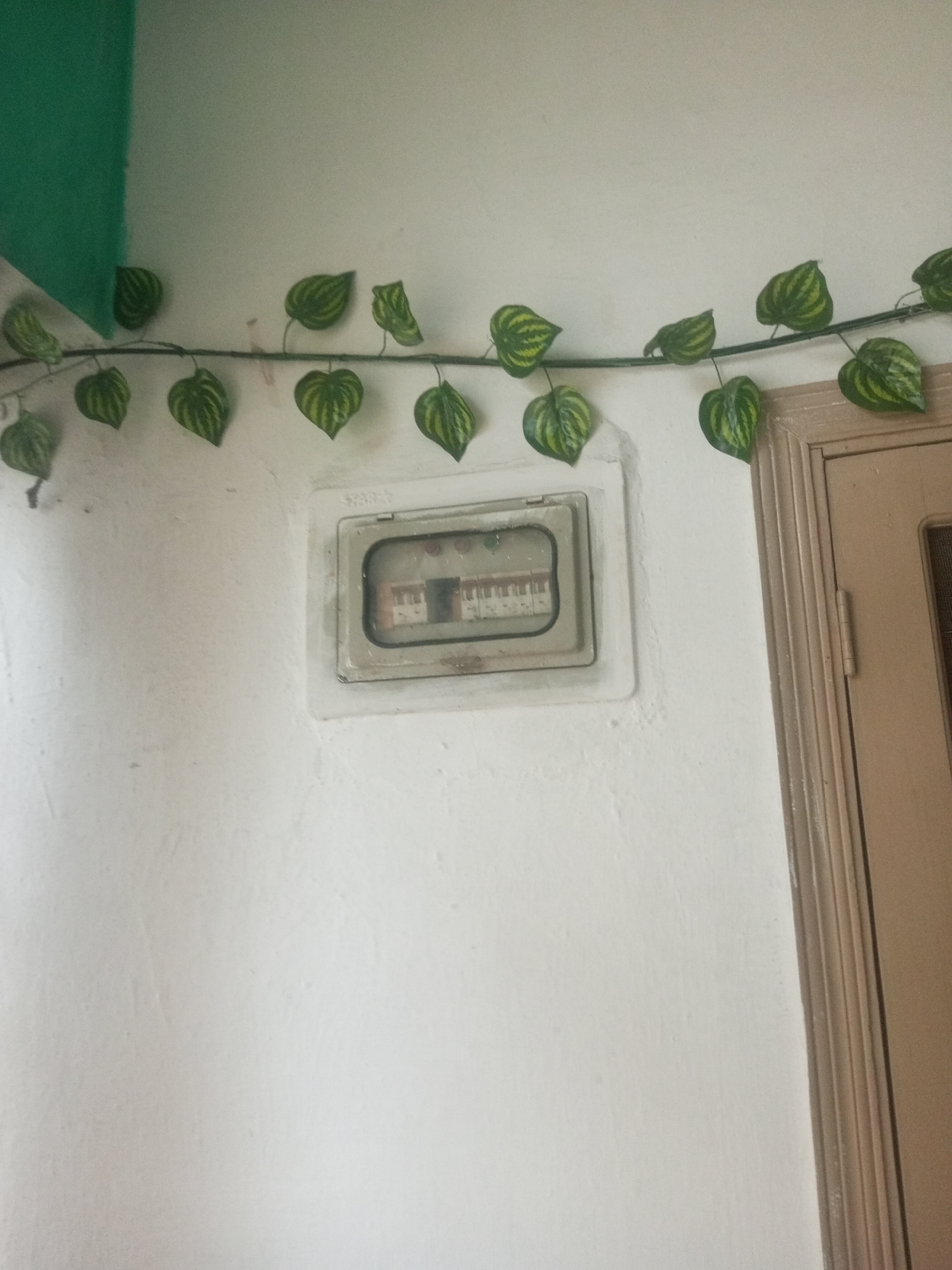A decorative artificial vine with green and yellow leaves is draped horizontally across a textured white wall. Below the vine, a square metal electrical panel with a transparent cover is mounted on the wall. The panel's cover is slightly dusty, revealing a row of circuit breakers inside. To the right of the panel, a portion of a light brown wooden door frame is visible. The overall setting appears to be an interior wall in Mansehra, Pakistan.