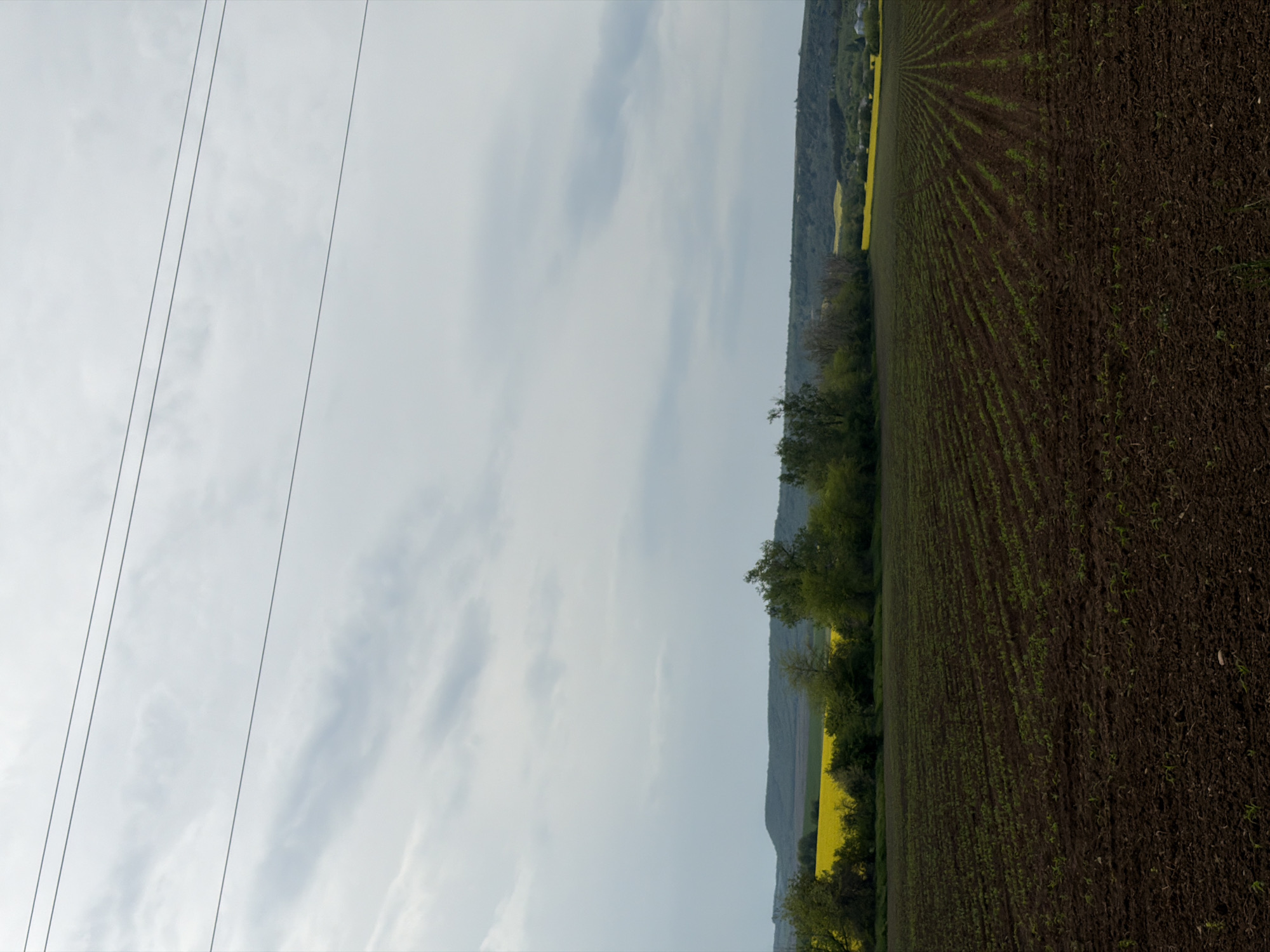 The scene is an agricultural landscape in Goran, Bulgaria, featuring a ploughed field with rows of nascent crops. A line of trees separates the field from a yellow, possibly rapeseed, crop near the base of a hill. Overhead, power lines traverse the cloudy sky.