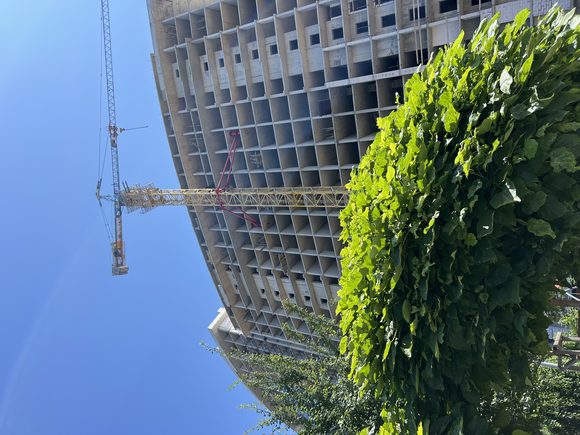 An exterior, low-angle, full shot captures a modern, unfinished concrete building under construction in Fontanka, Ukraine, on a clear, sunny day. A tall yellow tower crane extends across the bright blue sky, its jib positioned horizontally over the building. The building itself is a multi-story concrete structure with open floors and visible support columns, suggesting ongoing construction. In the foreground, lush green foliage from trees and bushes partially obscures the lower portion of the building, creating a natural contrast with the raw concrete. The leaves of the foreground plants are vibrant and catch the sunlight, highlighting the natural elements against the man-made construction site. There are no people visible in the image.