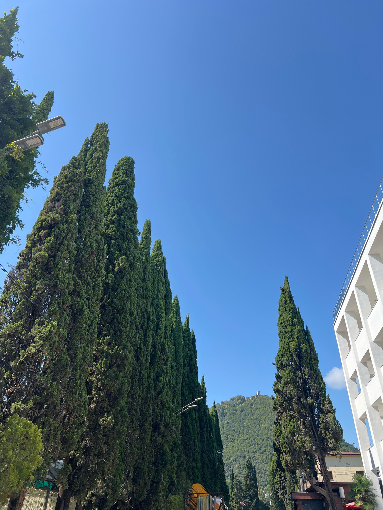 A low-angle, full shot captures a sunny street scene in New Athos, Abkhazia. A row of tall, slender cypress trees dominates the left side of the frame, their dark green foliage reaching towards a clear, bright blue sky. Two streetlights are visible among the upper branches of the trees on the left. On the right, a modern white building with a distinctive geometric facade and a railing along its upper edge is partially visible. In the background, a lush, green mountain rises, topped by a distant, light-colored structure, possibly a tower or monument. The overall impression is one of a well-maintained, Mediterranean-style urban environment.