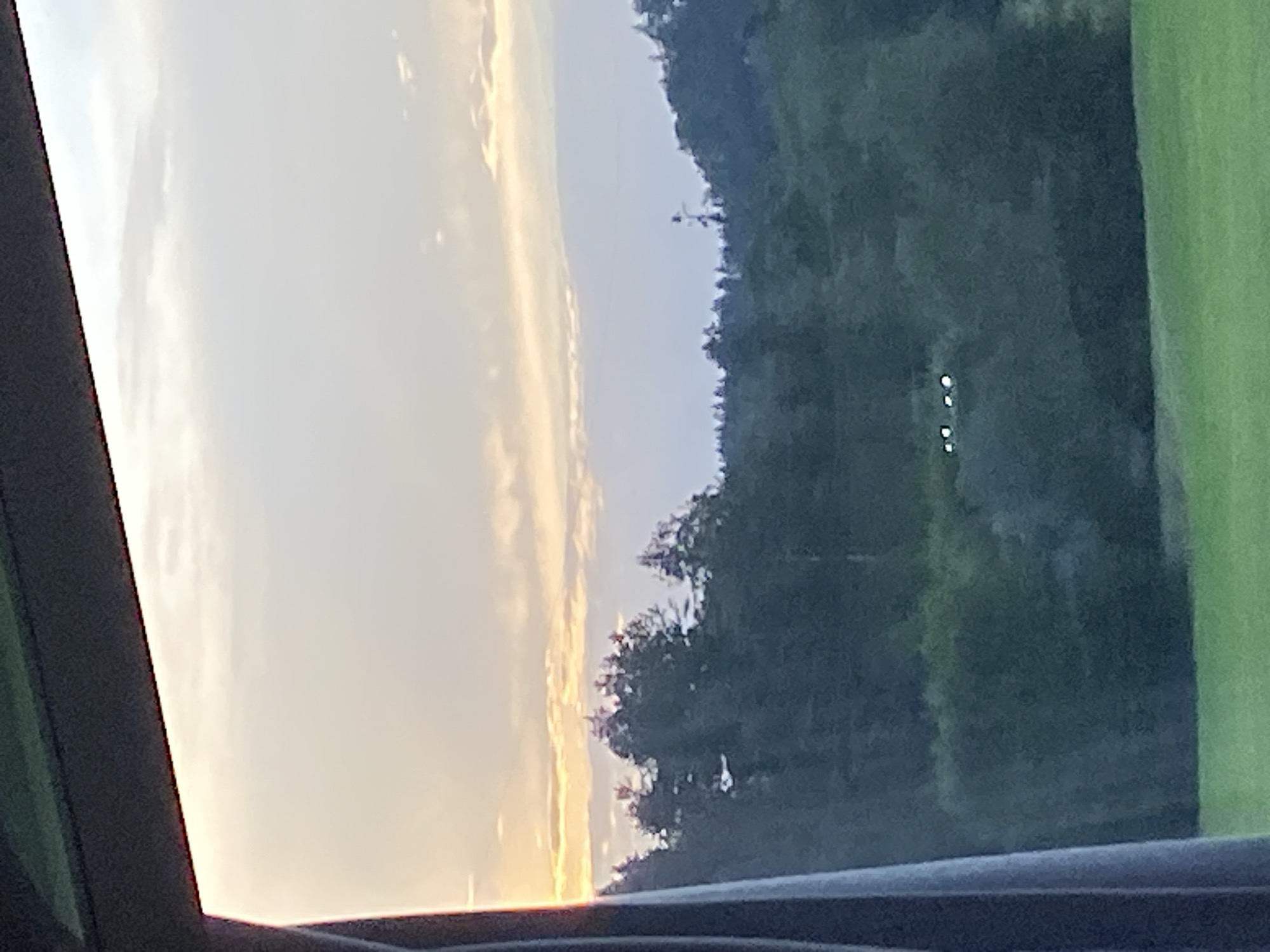A wide shot captures a hazy, golden sunset over a dense, dark green forest. The sky is a pale yellow and white, with faint, wispy clouds. In the distance, the treeline forms a rolling silhouette against the sky. In the middle ground, a cluster of four small, bright white lights are visible, possibly streetlights or outdoor lamps, positioned amongst the trees. The foreground shows a bright green, mown grassy field. The image is framed on the left by a dark, solid object, likely a window frame or curtain. The scene appears to be a natural landscape at dusk.