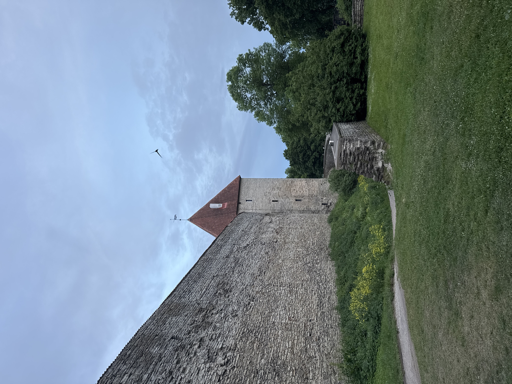 The image captures a view of the medieval city walls and a tower in Tallinn, Estonia, under a cloudy sky. The foreground features a well-maintained grassy area with a gravel path curving through it. To the left, a section of the imposing stone city wall dominates the frame, its rough-hewn stones indicating age and resilience. Beneath the wall, dense green vegetation and scattered yellow wildflowers grow.
Further into the scene, a distinct stone tower with a red tiled conical roof rises from behind the wall. A weather vane with a figure atop it is visible on the roof. The tower has small, rectangular windows and appears to be part of the larger defensive structure. Beyond the tower, a dense expanse of lush green trees forms a natural backdrop, suggesting a park or garden area surrounding the historical fortifications. In the upper right quadrant of the sky, a dark silhouette of a bird in flight is discernible against the pale blue and grey clouds. The overall impression is one of historic architecture integrated with nature, evoking a sense of timelessness.
