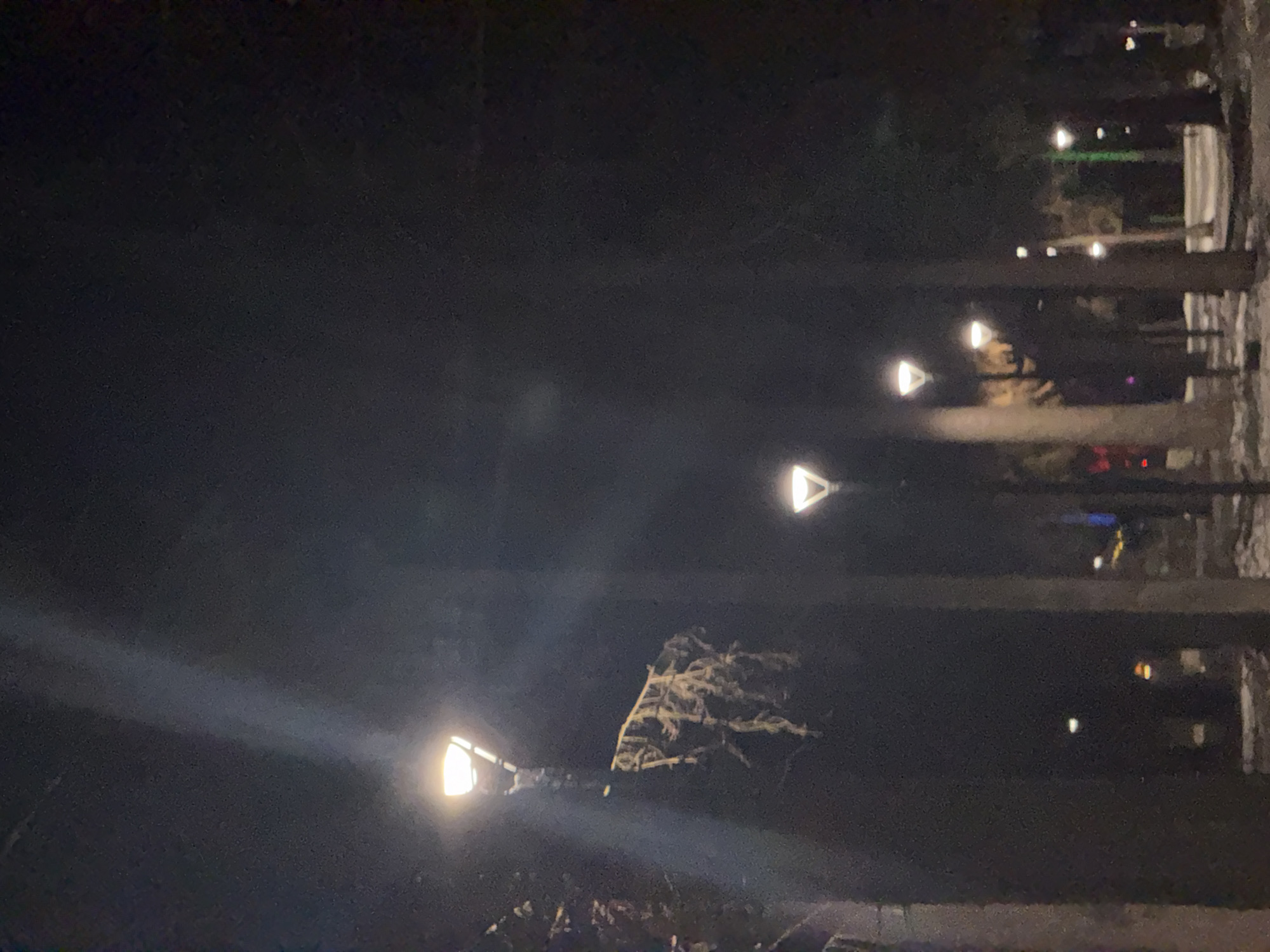 The image shows an outdoor scene at night in Votkinsk, Russia. The scene appears to be a park or public space with several illuminated streetlights visible. The light fixtures have a distinctive triangular design. There is a line of streetlights, trees, and a path or road. Some areas are obscured by darkness or shadows. There may be a bush and foliage in the foreground. The photograph is slightly blurry.