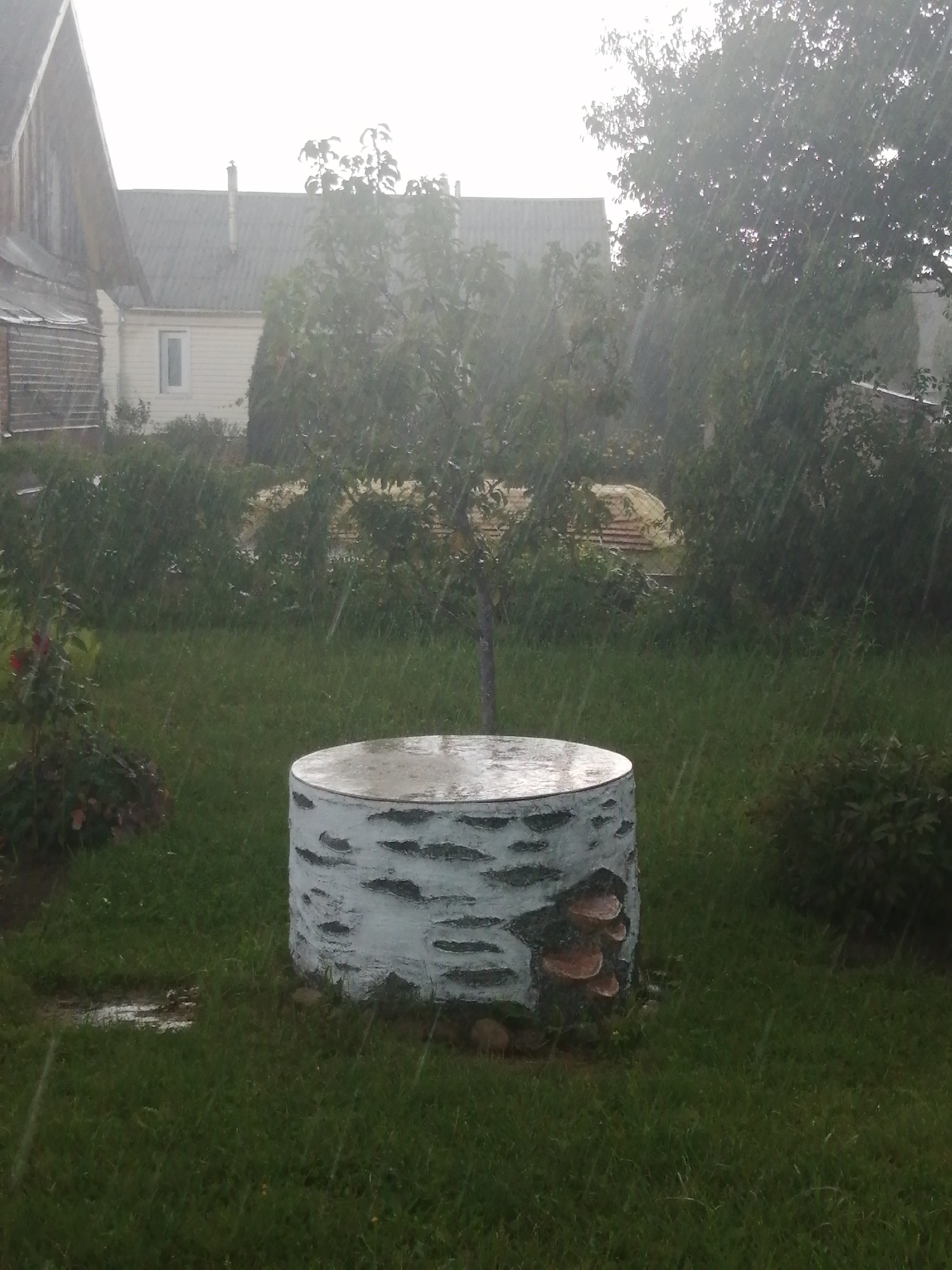 The image depicts an outdoor scene during a rain shower in what appears to be a rural or suburban setting, possibly Slonim, Belarus, given the context provided. In the foreground, a cylindrical object painted to resemble a birch tree trunk stands on a grassy lawn. The object has a flat top and is adorned with what looks like decorative bark patterns. Attached to the side of this object are several bracket fungi. The lawn is wet from the rain, and a small puddle is visible to the left of the trunk.
In the midground, a young tree with sparse foliage is situated behind the trunk. Beyond the tree, there is dense greenery, including bushes and other trees, which are obscured by the rain. In the background, two buildings are visible. To the left, a wooden structure with a pitched roof and a siding facade is partially visible. To the right of this, a lighter-colored house with a gray roof and a single window is seen. The sky is overcast, and the rain is falling heavily, creating streaks across the image. No people or animals are present in the scene. The overall atmosphere is one of a damp, inclement weather day.