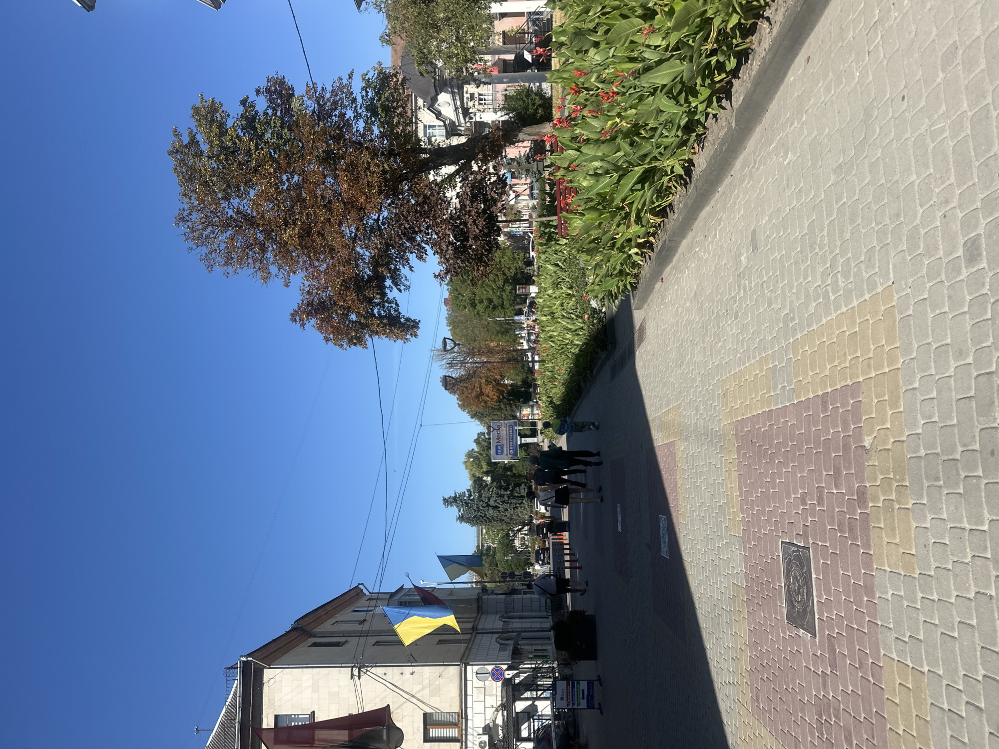 The image captures a sunny day on a pedestrian walkway in Ternopil, Ukraine. The walkway is paved with interlocking bricks in shades of gray, pink, and beige. On the left, a light-colored building with a gray roof stands, adorned with the Ukrainian flag and another flag. Several people are walking along the pathway. To the right of the walkway, a vibrant flower bed with red blooms and lush green foliage lines the path. A large tree with some autumn-colored leaves is visible, casting a shadow across the walkway. In the background, more trees and buildings can be seen, along with parked cars and streetlights. A sign for "ZER Media" is visible in the distance. The sky is clear and blue.
