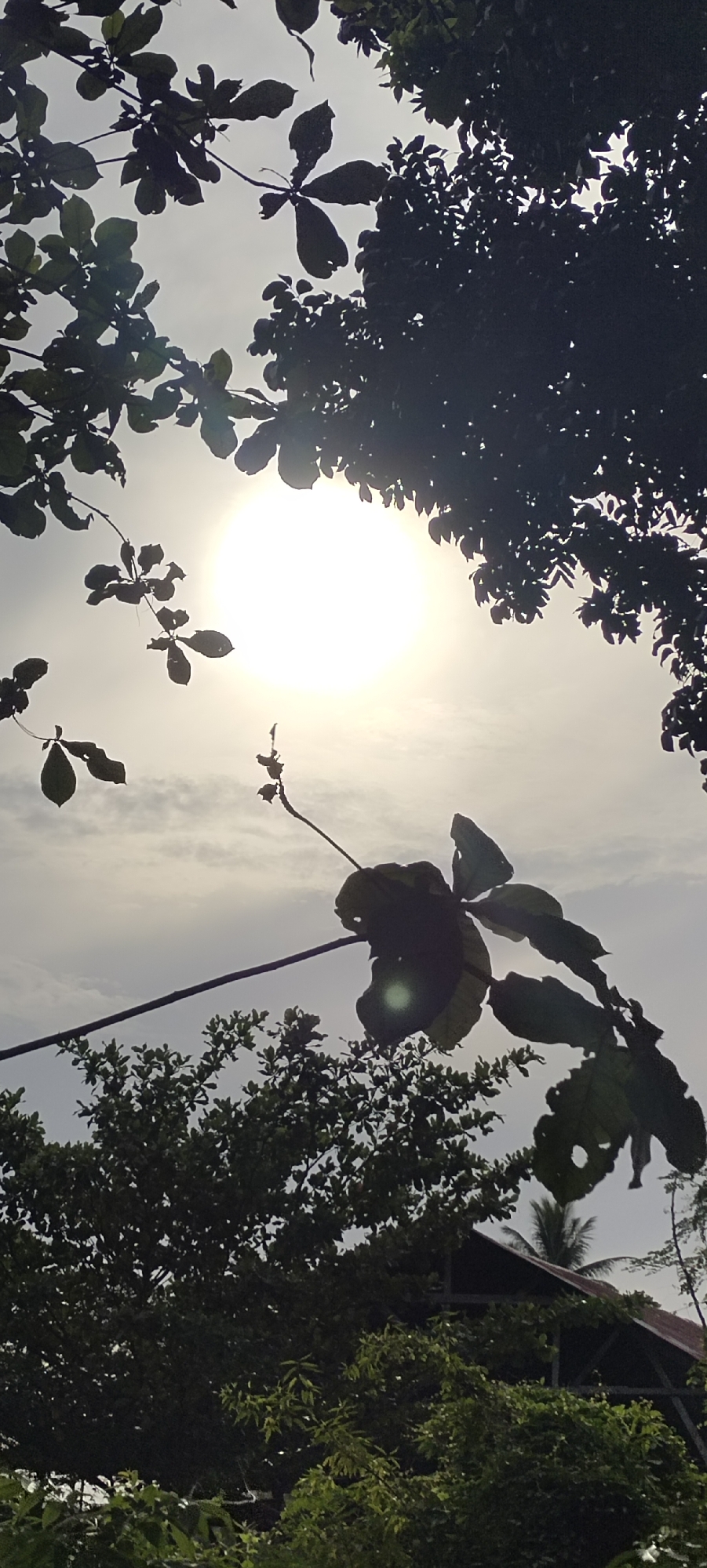 The image, likely taken in the city of Keudeteupinpunti, Indonesia, depicts a sun-filled sky framed by various trees. The sun is centered in the upper part of the image, appearing as a bright, white circle. Silhouetted leaves and branches fill the top and sides of the frame. A branch with several leaves is prominently featured in the middle ground, obscuring the view somewhat. In the foreground, there are green trees and foliage. A small portion of a building's roof is also visible among the foliage in the foreground, suggesting an urban or semi-urban setting.