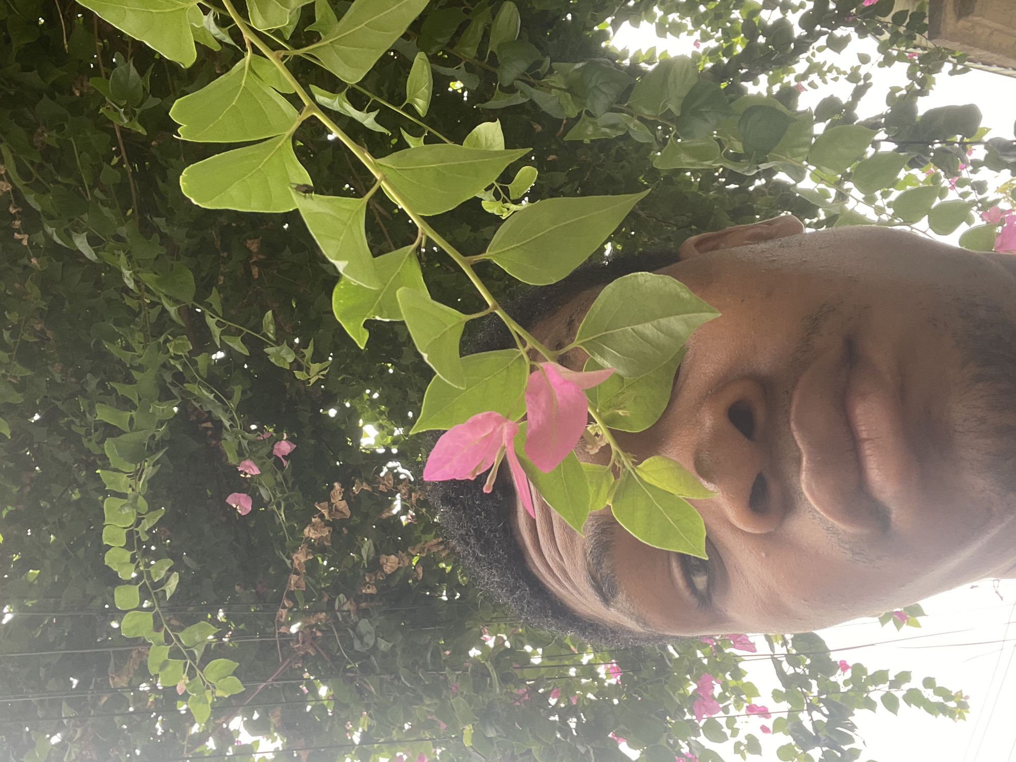 A close-up, low-angle shot features a person of African descent, seemingly a selfie, framed by foliage. Green leaves and vibrant pink bougainvillea flowers partially obscure the person's face. The background consists of dense greenery and suggests an outdoor location. Given the specified location of Ado, Nigeria, the foliage could be common tropical vegetation found in urban gardens or natural environments within the city.