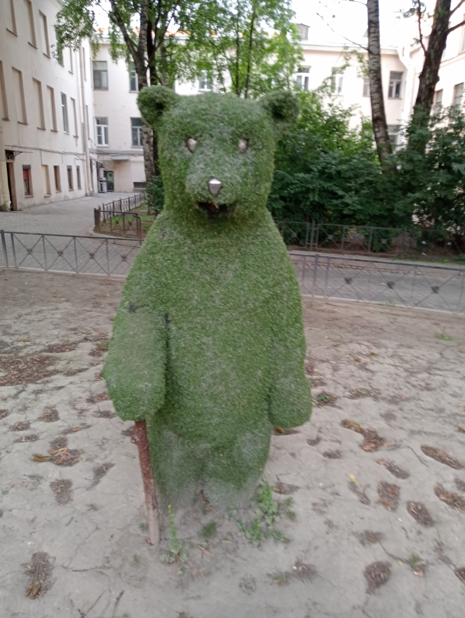 A topiary bear sculpture, made of green foliage, stands in a courtyard in Saint Petersburg, Russia. The bear is positioned centrally in the frame, facing forward. It has metallic eyes and nose. A wooden stake is visible in front of the bear, holding it in place. The ground around the sculpture is covered with a mix of dirt, leaves, and sparse vegetation. In the background, a pale building with multiple windows and a fence are visible. Trees with green leaves partially obscure the building and fence. The overall scene depicts an outdoor decorative element within an urban environment.