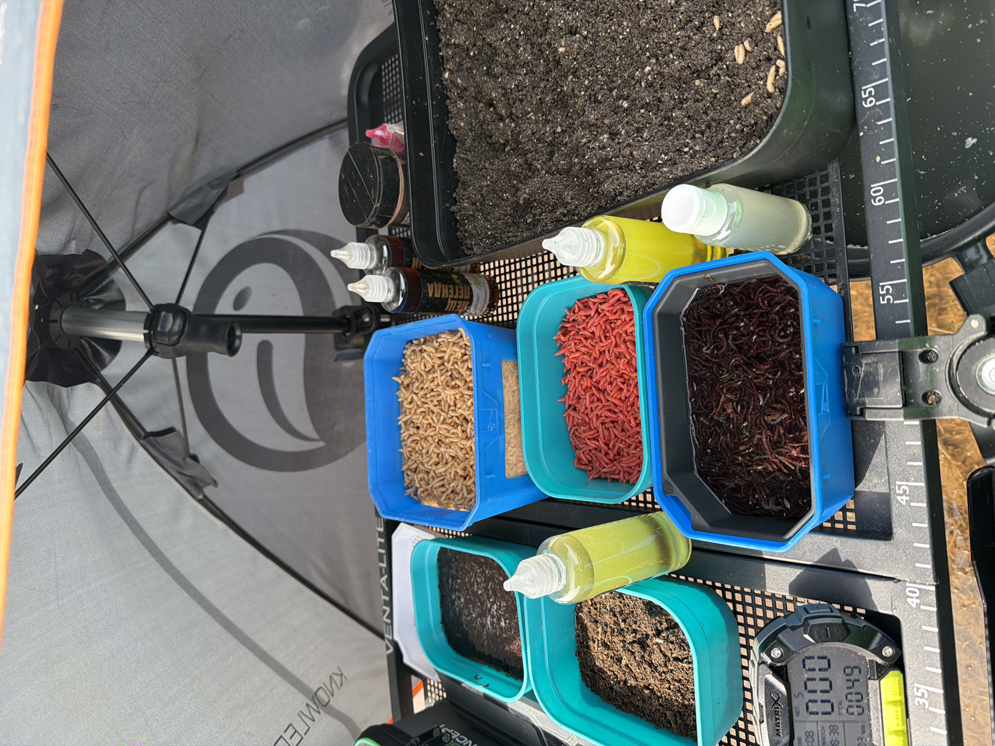 This image provides an overhead view of a well-organized fishing bait and tackle setup, likely positioned on a fishing platform or station in an outdoor setting, potentially in Nikolo-Berezovka, Russia. No people are visible.
The scene is dominated by various types of bait contained within several blue, teal, and black plastic trays. In the mid-ground, three containers hold different live or prepared baits: one is filled with light brown maggots, another with vibrant red maggots or similar larvae, and a third with dark red or black bloodworms. Below these, two teal containers hold dark, earthy groundbait or chum. A larger black tray in the upper right also contains a significant amount of dark, grainy groundbait mixed with lighter particles.
Several small bottles with squeeze or dropper caps are interspersed among the bait containers, containing yellow, light green, and brown liquids, presumably fishing attractants or additives. One brown bottle features a label with Cyrillic text, "ПЕЩ ЛЕГЕНДА" (Pesh Legend).
To the right, a black digital stopwatch or timer, branded "MATRIX," displays "000" and "0049," with additional text like "NET 5," "TOTAL," "WATCH," and "ALARM." Adjacent to it is a measuring scale integrated into the platform edge, marked from "35" to "70" (likely in centimeters). The scene is under the partial cover of a grey fishing umbrella or shelter, which shows reversed text "КИОМГЕД" and "VENTA-LITE," suggesting a bright, sunny daytime environment. The arrangement indicates meticulous preparation for an angling activity.