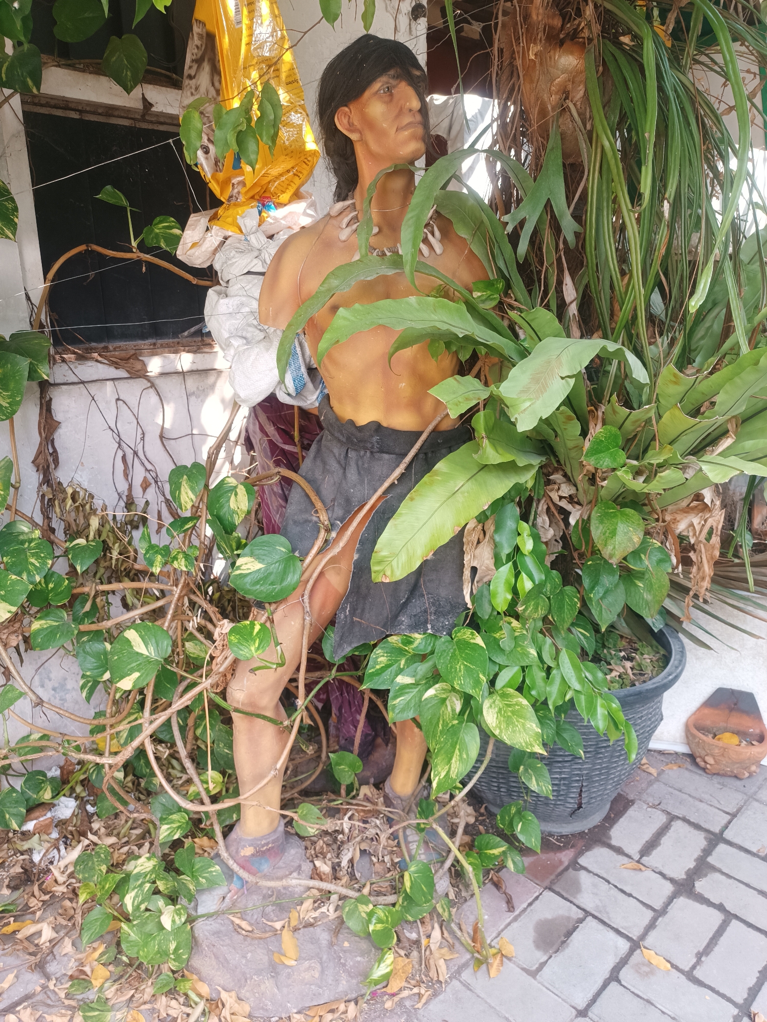 In Yogyakarta, Indonesia, a life-size statue of a person stands amidst lush vegetation and weathered architectural elements. The statue, with dark hair and a tan complexion, is adorned with a beaded necklace and wears a dark, simple skirt. Its torso is bare, revealing a sculpted physique. The statue is partially obscured by a large black planter overflowing with various green plants, including ferns and vining plants with variegated leaves. In the background, a window with a dark pane is visible, partially covered by a yellow bag containing white sacks, and a glimpse of a grey tabby kitten peeking out from the bag. The overall environment suggests an outdoor setting with a mix of organic and constructed elements, hinting at a garden or a neglected corner of a property. The paving stones in the foreground are wet in places, and dry leaves are scattered around the base of the plants and the statue.