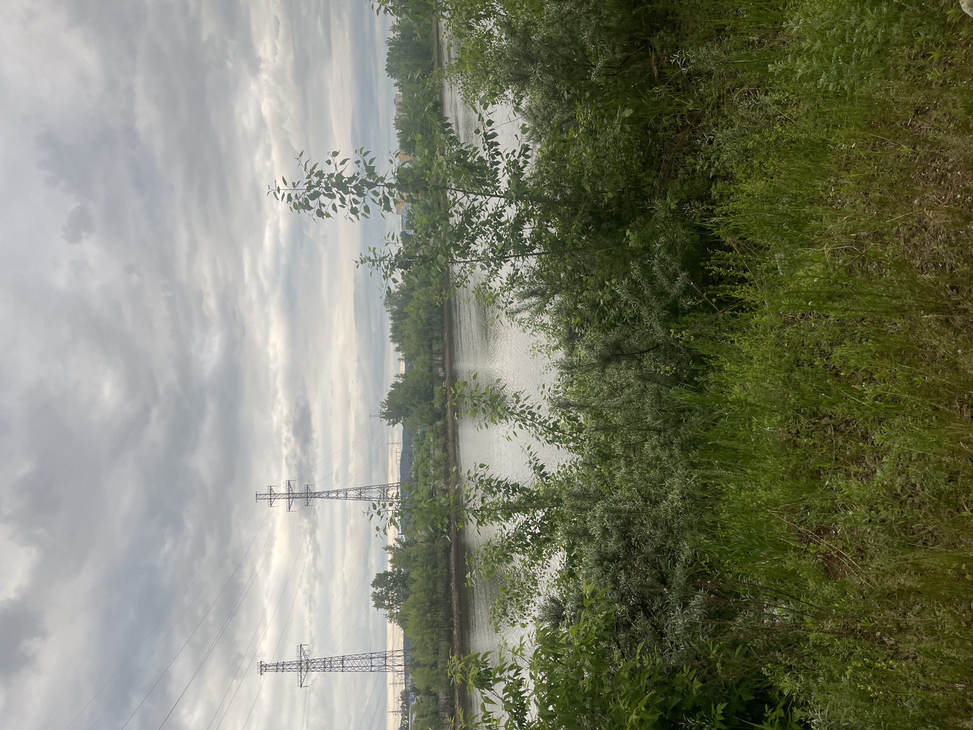 The image displays an outdoor scene in Chaikovsky, Russia, under an overcast sky. A wide river spans the midground, reflecting the diffuse light of the gray, cloud-covered sky. The immediate foreground is densely covered with vibrant green vegetation, comprising tall grasses, various shrubs, and several young deciduous trees with slender trunks and full canopies. The opposite riverbank is similarly lined with a continuous strip of lush green trees and foliage. In the background, against the cloudy sky, two prominent metal lattice transmission towers are visible, supporting multiple power lines that extend horizontally across the frame. Above the distant tree line on the far bank, faint outlines of light-colored buildings or industrial structures are discernible, indicating urban or industrial development in the distance. No human figures or animals are present in the observable area. The scene presents a blend of natural riparian landscape and industrial infrastructure.