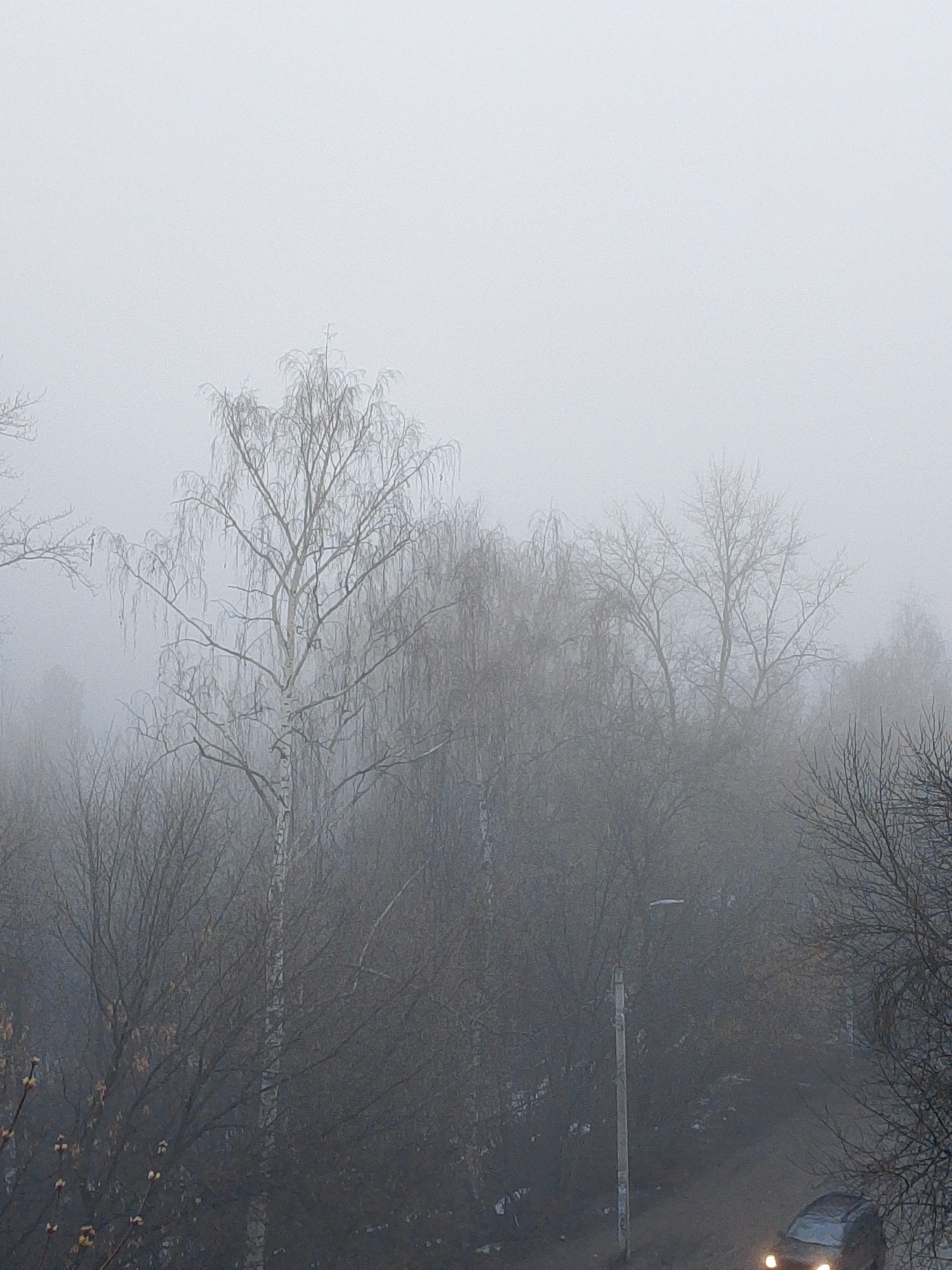 The image depicts a foggy scene, likely in a residential area, with trees dominating the view. The fog is thick, obscuring the background and giving the image a muted, grey tone. Bare trees are visible, suggesting a cold season. A street lamp is partially visible amidst the trees. At the bottom right corner, a car with headlights on is driving on a road. The image is stated to be located in Izhevsk, Russia.