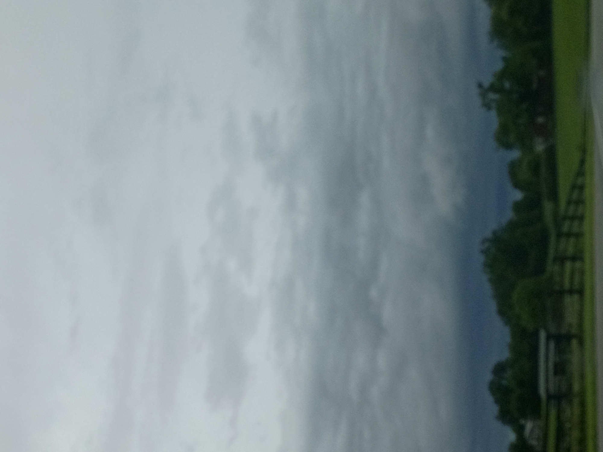 The image shows a slightly out-of-focus, overcast sky above a rural landscape. In the lower portion of the image, dark green trees and some low-lying structures are visible. A dark fence runs horizontally across the scene. The overall impression is of a cloudy day in a rural area, possibly a farm or countryside. The location is specified as Nicholasville, United States of America.