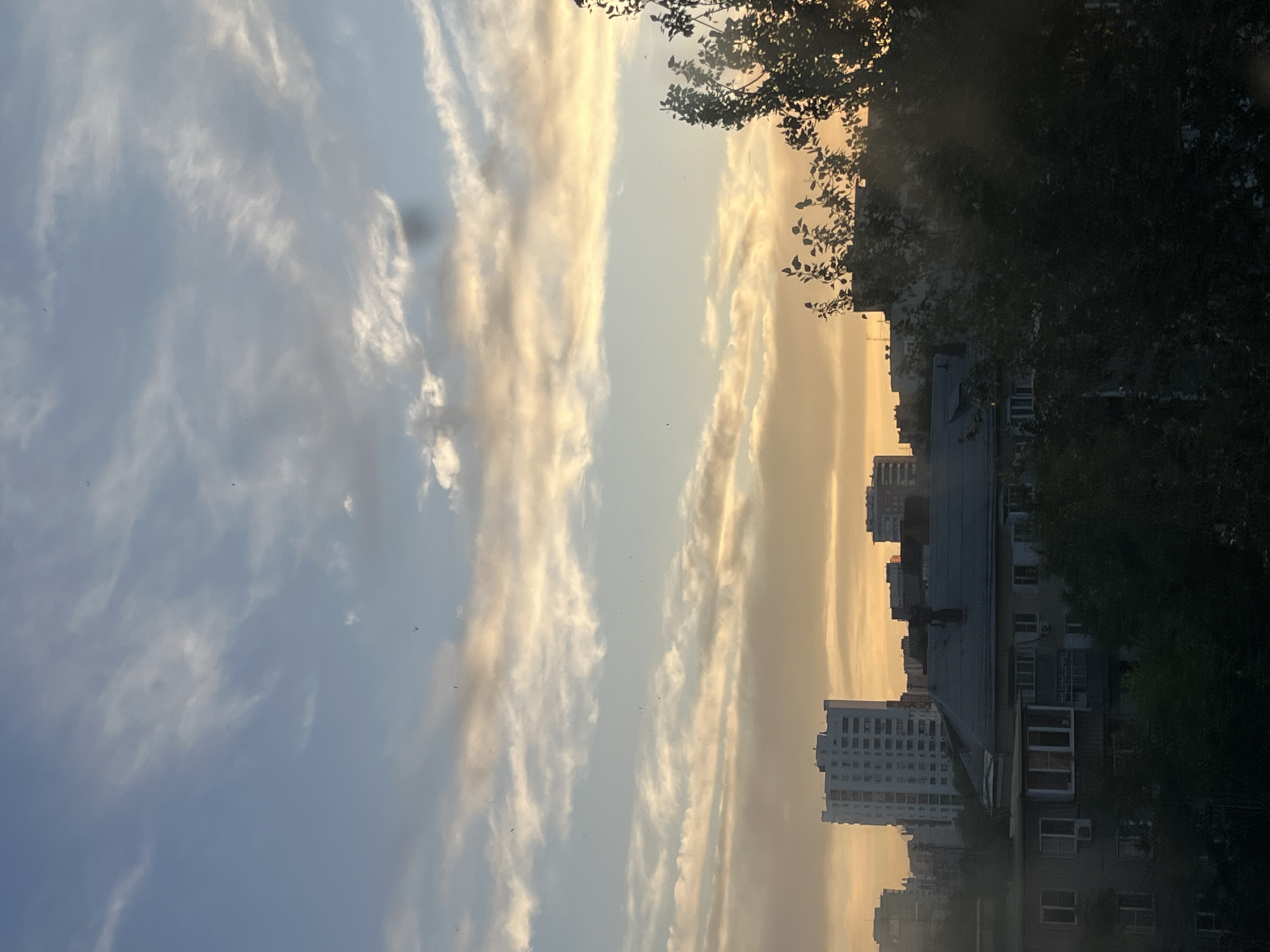 A view of a cityscape with a sky filled with clouds at dusk. Buildings of varying heights and architectural styles are visible, with some appearing to be apartment blocks. Trees and foliage partially obscure the lower portions of the buildings. The sky is a gradient of blue, with streaks of orange and yellow light suggesting the setting sun. Several small, dark specks, possibly birds, are visible in the sky. A dark, circular blemish is present in the upper right portion of the image, obscuring a small area of the sky. The overall impression is a typical urban scene during twilight.