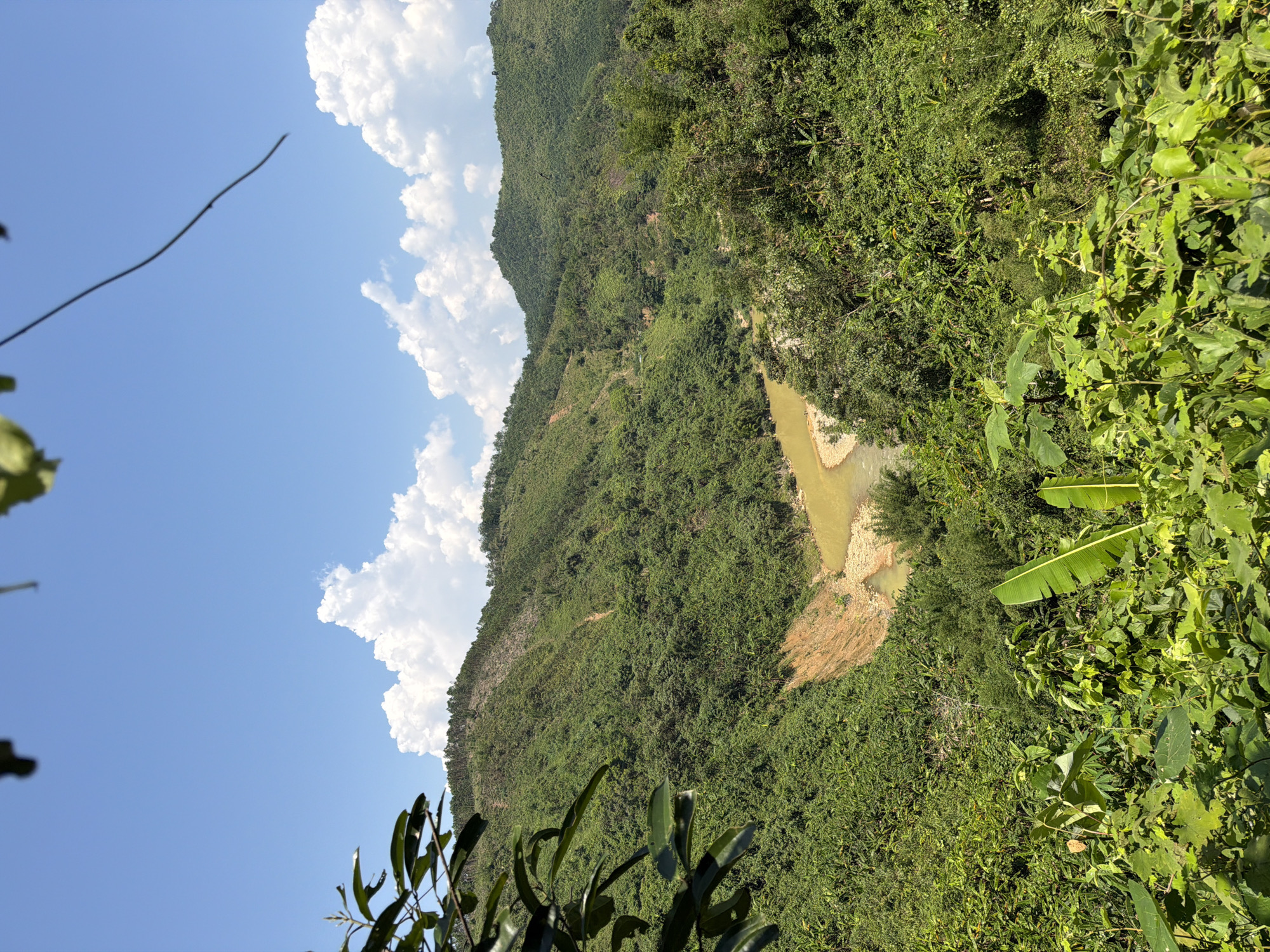 An eye-level, outdoor, vertical shot depicts a lush, mountainous landscape adjacent to a wide river. The location is in Đà Nẵng, Vietnam. A muddy river cuts through the mountainous terrain. The sky features patchy white clouds against a blue backdrop. The mountain is covered in dense green vegetation. Banana leaves and other foliage are visible in the foreground.
