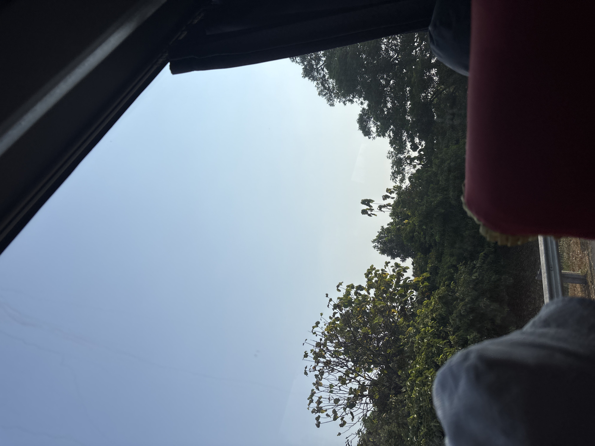 The image is a view from inside a vehicle looking out a window. The sky is a clear light blue. In the distance, there are dense green trees and foliage. In the foreground, out of focus, are parts of the vehicle's interior, including a gray object on the left, possibly a headrest or hat, and a red object on the right, likely a seat. A metal guardrail is visible along the roadside, suggesting the vehicle is traveling on a road. The image does not contain enough detail to identify the specific location within Karawang, Indonesia.