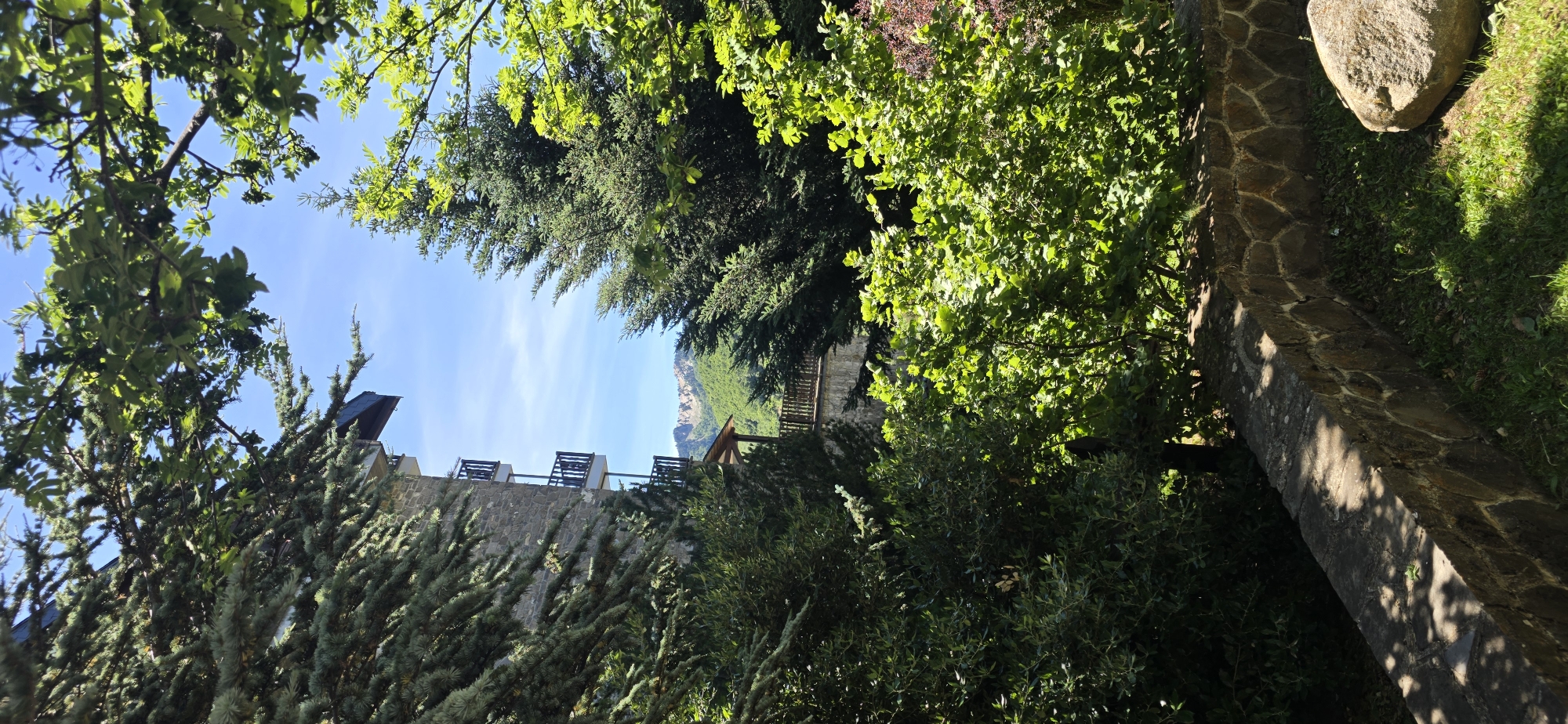 The image captures a view from a lush, green outdoor setting, framed by the branches and foliage of trees. In the background, a multi-story stone building with several balconies is visible, partially obscured by the surrounding greenery. Beyond the building, a mountainous landscape stretches across the horizon under a clear blue sky. The foreground features a rustic stone wall, with grass and shadows on the ground. The scene appears to be located in Sallent de Gállego, Spain, likely at a hotel or a similar establishment situated within a mountainous natural environment. There are no people or animals present in the image.