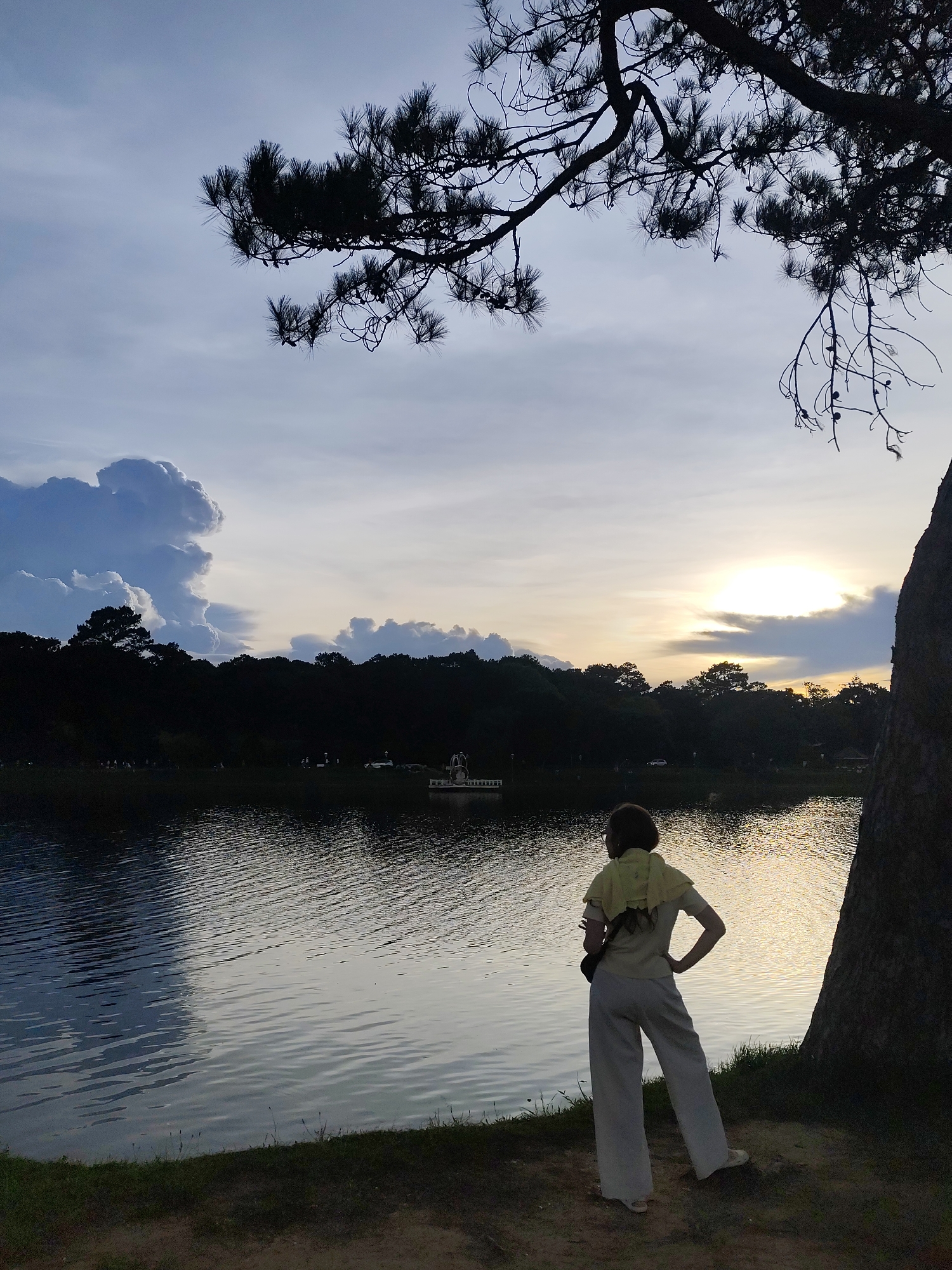 The image depicts a person standing by the edge of Xuan Huong Lake in Da Lat, Vietnam, during sunset. The person, viewed from behind, is wearing light-colored pants, a light-colored shirt, and glasses, with a light-colored scarf draped over their shoulders. They are positioned near the base of a large tree on the right side of the frame, looking out at the lake. The water reflects the sky and the surrounding environment, with ripples creating a textured surface.
Across the lake, a dark silhouette of trees lines the shore, with a small white boat visible in the distance. The sky is a mix of blues and grays, with dramatic clouds on the left side and the setting sun casting a warm glow on the right, creating a bright, hazy disc behind a cloud formation. Pine tree branches, silhouetted against the sky, frame the upper portion of the image. The ground in the foreground is composed of dirt and grass. The overall atmosphere is serene and contemplative.