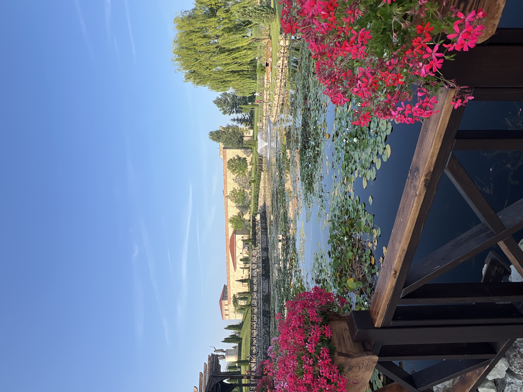 This is a vertical, eye-level, outdoor, full shot photograph of a pond at the Archaeological Museum Complex, located in the city of Neofit Rilski, Bulgaria. The pond is filled with lily pads and some small white flowers. In the foreground, a wooden railing overlooks the pond, with two wooden planters overflowing with bright pink flowers. Behind the pond, there is a building with a terracotta roof, and a tall, weeping willow tree on the right side of the image. In the distance, there is a fountain spraying water, and several people can be seen walking around the grounds. The sky is clear and blue with a few wispy clouds. The overall scene depicts a serene and well-maintained garden or park setting.