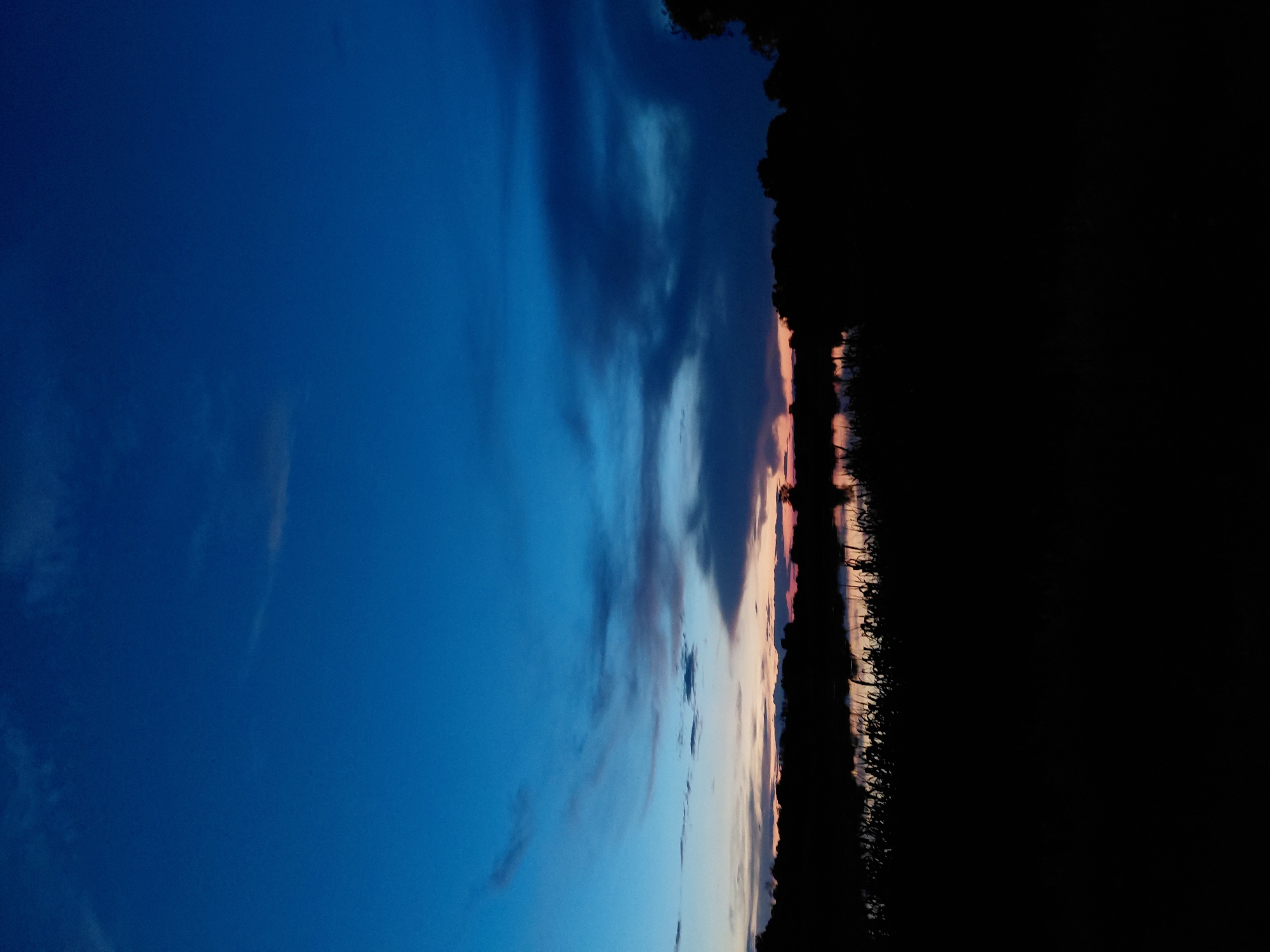 This is a photograph of a rural landscape at dusk, likely in the vicinity of Ustyvytsia, Ukraine. The image depicts a body of water reflecting the sky, with a silhouetted treeline and vegetation in the foreground. The sky is a deep blue, transitioning to lighter shades of blue and orange near the horizon, indicating the sun has recently set or is about to rise. Dark, wispy clouds are visible against the twilight sky. The water appears calm, with subtle ripples. The foreground is dominated by the dark silhouettes of tall grass or reeds, and a dense band of trees forms the horizon. No people, animals, or man-made structures are clearly discernible in the image. The overall atmosphere is serene and tranquil.