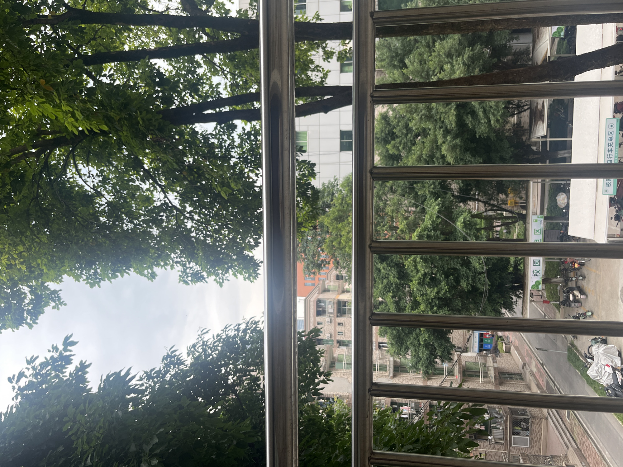 The image displays an outdoor urban scene viewed from an elevated position, likely through a balcony or window fitted with prominent, thick, vertical metallic bars that frame the foreground. The camera's orientation is vertical.
To the left of the metallic bars, dense green tree canopies fill the upper portion of the frame, silhouetted against an overcast, light grey sky visible in the top-left corner. Through the vertical bars, various elements of the urban environment are layered. A modern, multi-storied white building with numerous windows is visible through the upper sections of the bars, partially obscured by tree branches. Further down, more green trees line what appears to be a paved street.
To the right of the vertical bars, the view continues with more tree foliage, leading to a street-level scene. Several motorcycles and scooters are parked along the side of the road. Older residential buildings with textured, beige or brown facades are visible further in the background.
The sky is uniformly overcast, indicating a daytime setting with soft, diffused lighting and no harsh shadows. No people are visible, and no specific activity or event is taking place, presenting a static urban landscape.
Notable visible text includes Chinese characters on a green and white sign located on the right side of the street. The top line clearly reads "自行车充电区" (Bicycle Charging Area). Below it, partially obscured, are the characters "校区" (Campus Area). These details, along with the architecture and common vehicles, are consistent with the provided context of Yuzhong District, China, likely a residential or university area.