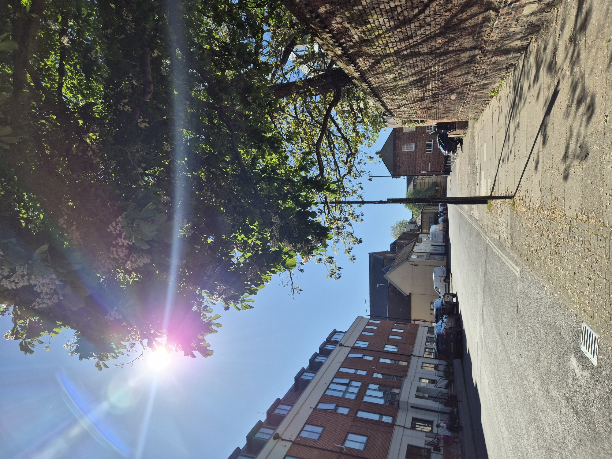 The image captures a sunlit street scene, likely in West Suffolk, United Kingdom, viewed looking down a street or alley. The clear blue sky indicates fair weather, with the bright sun positioned towards the upper left, causing a prominent sun flare and lens flare in the foreground.
On the left side, a large tree with lush green foliage and visible white blossoms occupies the immediate foreground, partially obscuring the sky and upper portions of buildings. Further down the street on the left, a modern-looking multi-story building with a mix of red brick and lighter panels, featuring numerous windows and balconies, lines the road. Several cars are parked along this side of the street.
To the right, a tall, weathered red brick wall, showing patches of moss or discoloration, runs along the edge of a paved pedestrian path. Distinct, long shadows from trees and an unseen object (likely the street lamp) are cast across the path and onto the asphalt road, indicating bright midday or early afternoon sunshine. A dark street lamp or utility pole stands prominently in the midground on the right side of the road.
Further down the street on the right, beyond the brick wall, older, traditional brick buildings with white-framed windows are partially visible. The pedestrian path features light-colored paving slabs, and a white drain cover with a black grid pattern is visible on the far right.
The scene is devoid of people or discernible activity, presenting a quiet, static street view. No legible text is visible within the image.