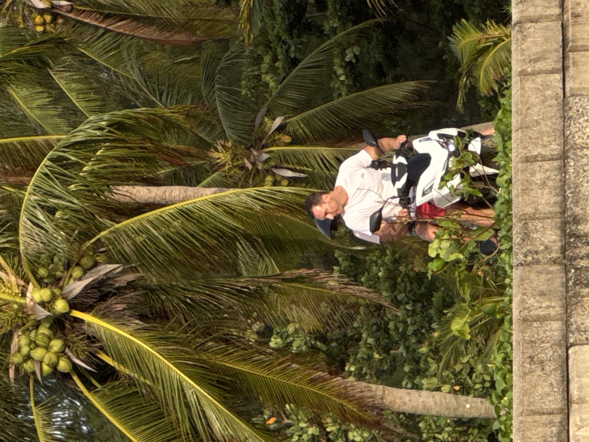 An adult male wearing a white t-shirt and red shorts sits on a white and black scooter, partially obscured by palm trees. He is looking to the left. The scooter has a black seat and black handlebars. Green foliage and palm fronds surround the man and the scooter. In the foreground, there is a textured stone wall. The scene appears to be outdoors, possibly in Karon, Thailand, given the abundance of palm trees and tropical vegetation. The lighting suggests it is daytime, with sunlight filtering through the leaves.