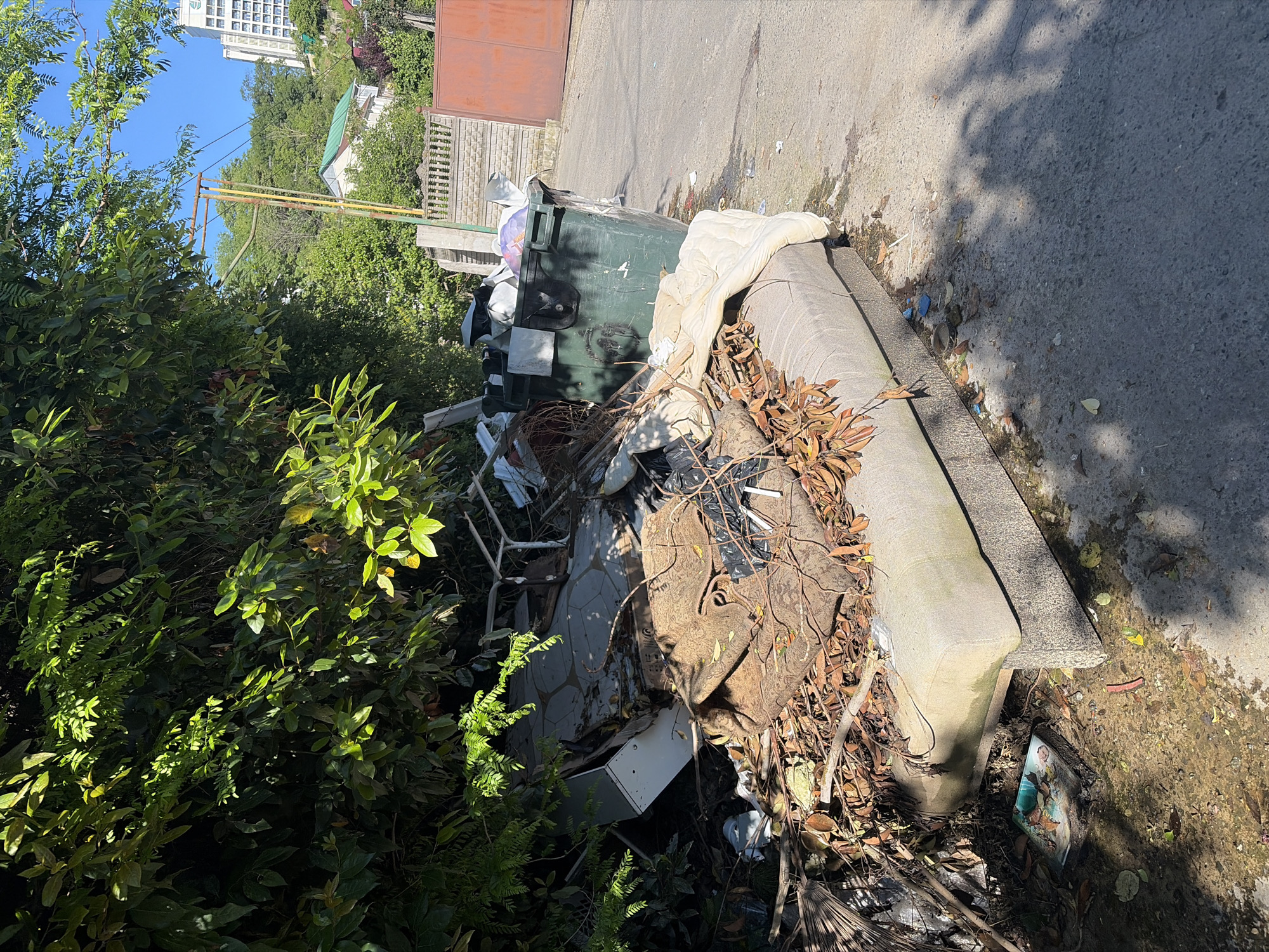 This media file depicts an outdoor scene in Sochi, Russia, characterized by significant waste accumulation and dense vegetation under a bright, clear sky. The main subjects are a large, dark green commercial dumpster, an old mattress, and a substantial amount of debris.
The scene shows an unkempt area, possibly an alleyway or service road, with a paved surface transitioning into an overgrown, bushy section. On the paved ground, a worn, light-colored mattress lies flat, partially covered with dried leaves, branches, and general refuse. Beside it, the large green dumpster appears full, with various items, including plastic bags and what looks like discarded furniture or appliances, either overflowing or placed around its base. A wide array of trash, including wood scraps, metal pieces, and other debris, is scattered amongst the roots and lower branches of the dense green bushes that line the left side of the image.
The time of day is sunny, indicated by strong shadows cast across the concrete or asphalt ground. The weather is clear and bright. In the background, beyond the immediate clutter and dense foliage, a tall, modern building with many windows stands against a vibrant blue sky, suggesting an urban or semi-urban location. A simple, yellow and orange metal frame structure, possibly a clothesline or part of a gate, is also visible amidst the distant greenery.
No people are present, and no specific activity is taking place; the image captures a static scene of environmental neglect. A small, water-damaged picture or card, possibly depicting a person, is barely visible on the ground near the mattress. No other discernible text is visible anywhere in the image.