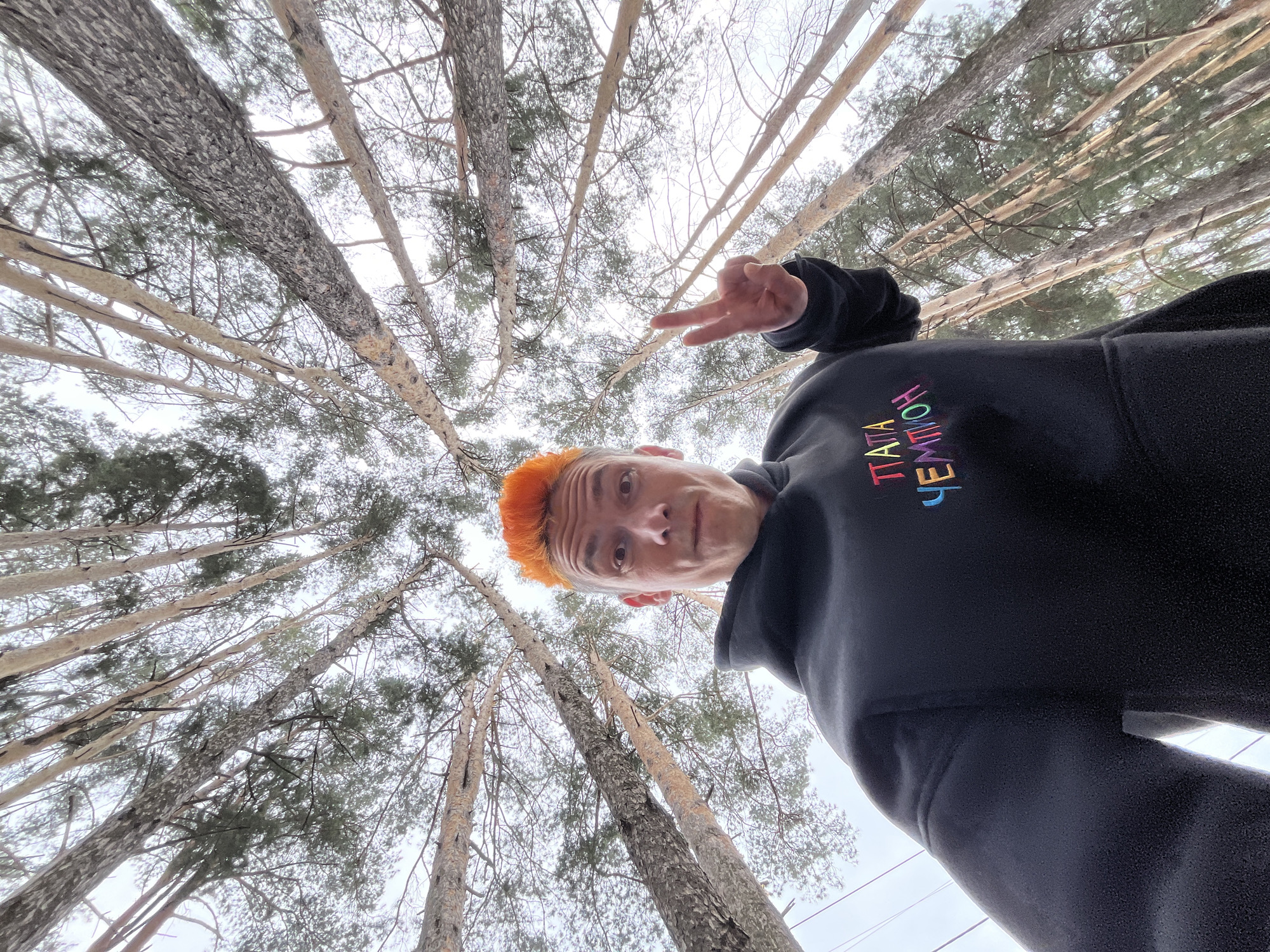 A male individual, approximately 30-40 years old, with short, bright orange hair and light skin, is depicted in a low-angle, wide-angle selfie. He wears a black hooded sweatshirt featuring "ПАПА ЧЕМПИОН" (PAPA CHEMPION, meaning "Daddy Champion") embroidered in multi-colored Cyrillic letters across the chest. His left hand is raised, displaying a two-finger peace sign. He looks directly at the camera with a neutral to slightly surprised facial expression. The background consists of numerous tall pine tree trunks and branches extending upwards, viewed from below, against an overcast, light gray sky. The trees form a dense canopy with sparse green needles, suggesting a forest environment. The scene is located within a pine forest in the city of Chaikovsky, Russia.