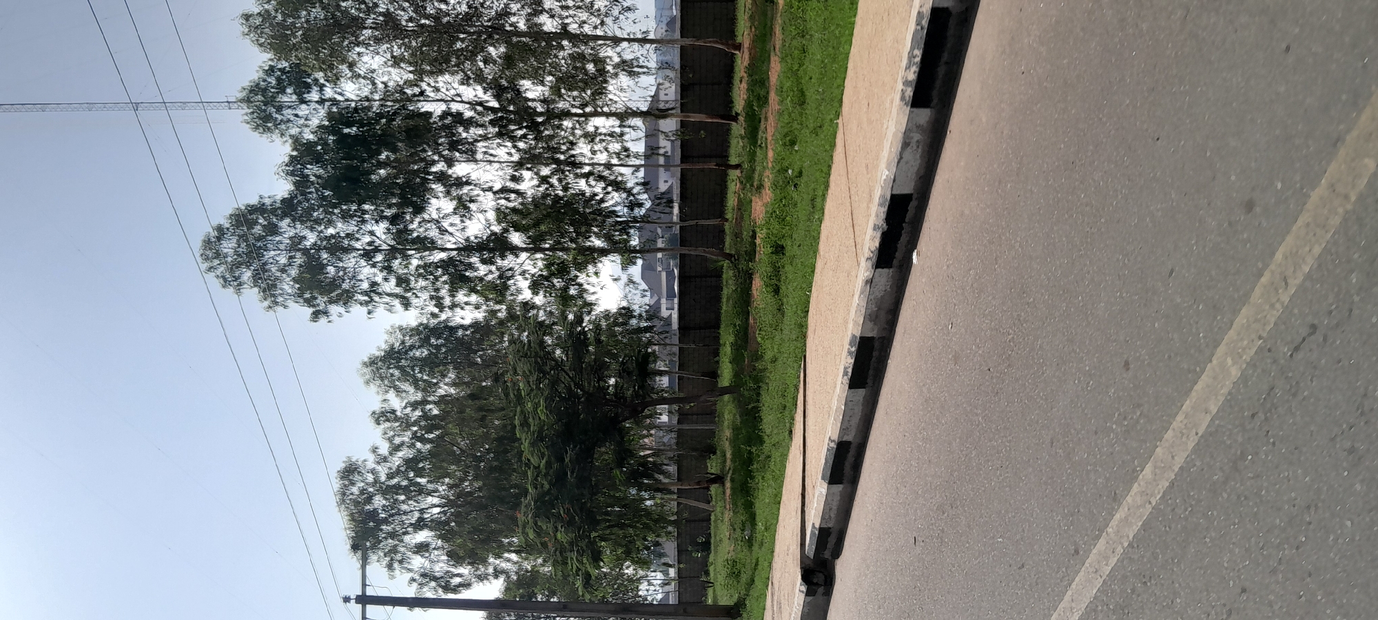This image captures a street scene in Jalingo, Nigeria, with a focus on the roadside environment. In the foreground, a paved road with a white lane marking runs diagonally across the frame. Adjacent to the road is a concrete sidewalk with a distinct curb painted with alternating black and white stripes, indicating a traffic boundary. Beyond the sidewalk, a strip of green grass and vegetation is visible.
A line of tall, slender trees with dense foliage stretches across the middle ground, forming a natural barrier. Behind the trees, a brick wall with a textured surface encloses a property. In the background, several buildings with dark roofs can be seen, suggesting a residential or commercial area. The sky above is a clear, pale blue, with faint power lines crisscrossing the upper portion of the image. To the far right, a tall communication tower rises above the trees, a common sight in urban landscapes. The overall impression is one of a well-established, possibly suburban, area of Jalingo.