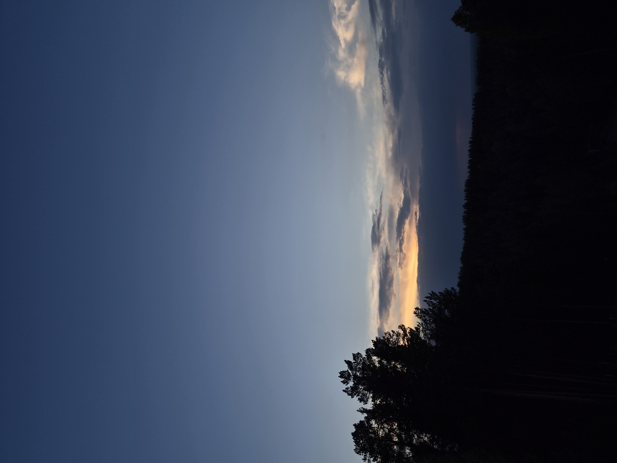 The image depicts a dusk sky with a cloud formation and tree silhouettes. The sky transitions from a deep blue on the left to a lighter blue near the horizon. The clouds are illuminated with a warm, golden light. A dark silhouette of trees fills the bottom and right portions of the frame. The location is Прикамский, Russia.