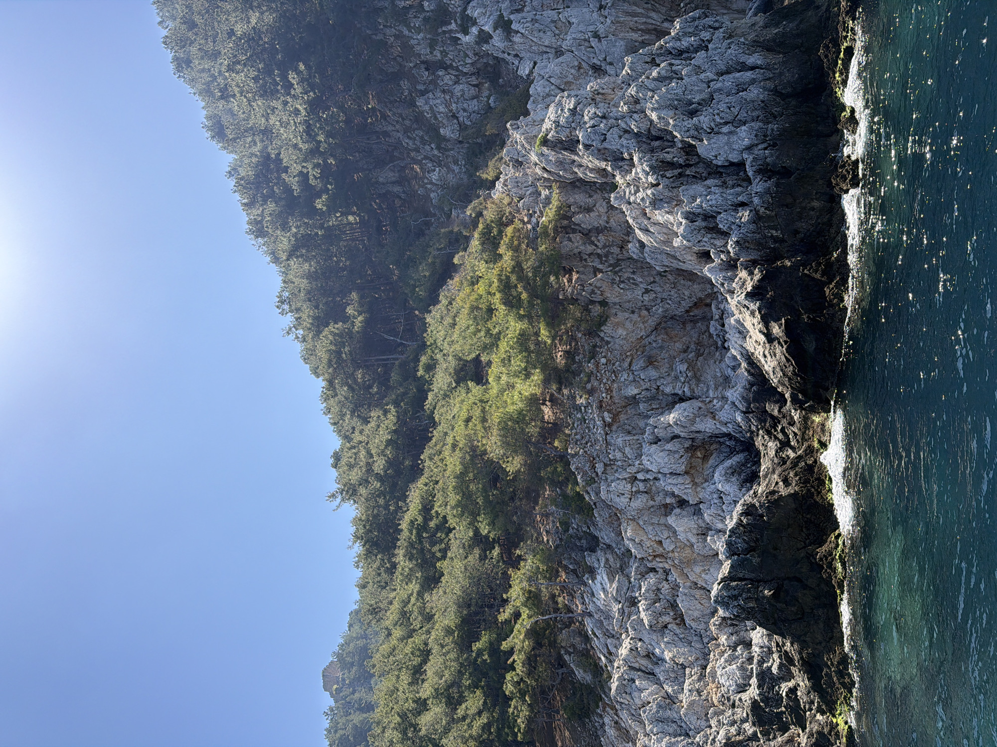 The image depicts a rocky coastline in Alanya, Turkey. The scene includes a steep cliff face composed of gray, heavily textured rock formations, interspersed with patches of green vegetation. Trees cover the slope above the rocks. The bright sun casts light on the blue sky and glints on the water surface on the right. The composition focuses on the transition from the rocky cliff to the water, with a significant portion of the sky visible.