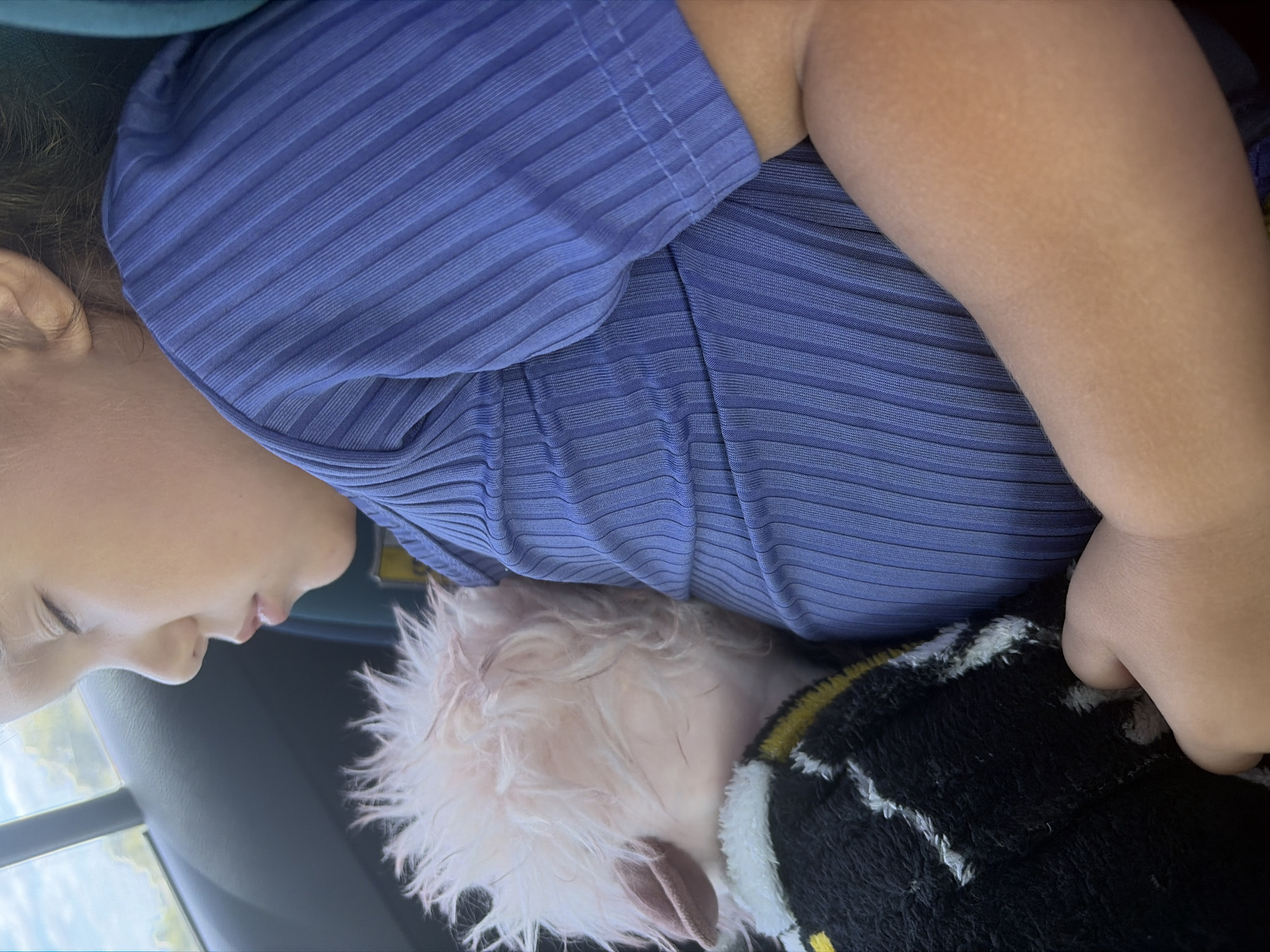 This media file shows a close-up, overhead shot of a child sleeping. The child is wearing a blue ribbed shirt. The child's head is resting on a fluffy white stuffed animal, which in turn is resting on a black and yellow patterned blanket. The child's face is partially visible, showing their cheek, nose, and mouth. Their eyes are closed, indicating they are asleep. The overall impression is one of comfort and rest. The image appears to be taken indoors, possibly in a car given the slightly angled perspective and hints of a seat or headrest. The lighting suggests it could be daytime.