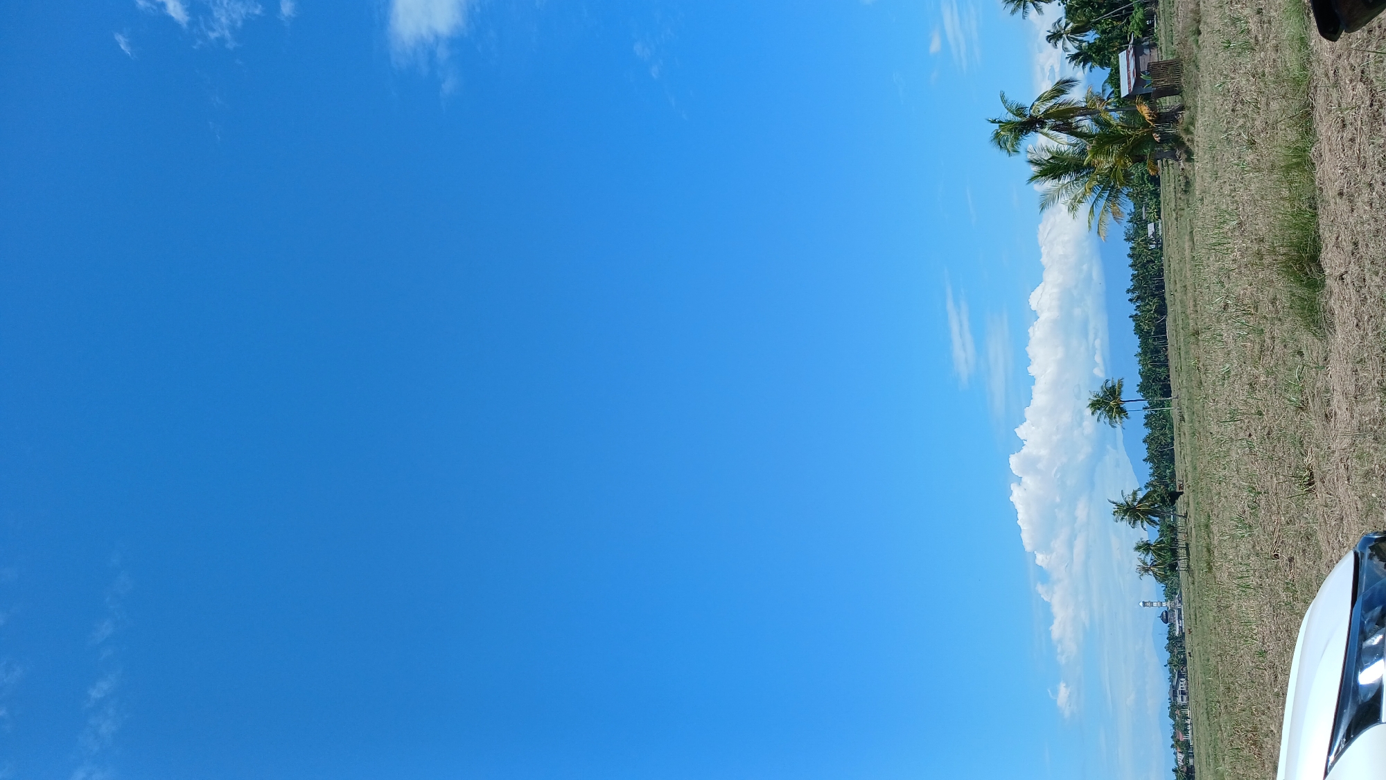 A wide shot captures a pastoral landscape under a bright blue sky. In the foreground, the hood of a white car is visible. The ground is a dry, mowed field, with scattered patches of stubble and dry grass. A line of palm trees stretches across the middle ground, with a few individual palm trees more prominent in the right half of the frame. Behind the palms, a dense forest of taller trees forms a dark green line, with a few small buildings interspersed within it. To the left of the palm trees, a mosque with a tall, slender minaret is visible. In the far distance, faint mountain ranges are discernible. A few scattered white clouds dot the expansive sky, which occupies the majority of the frame. The scene appears to be a rural area near Mesjidbluek, Indonesia, likely a field recently harvested.