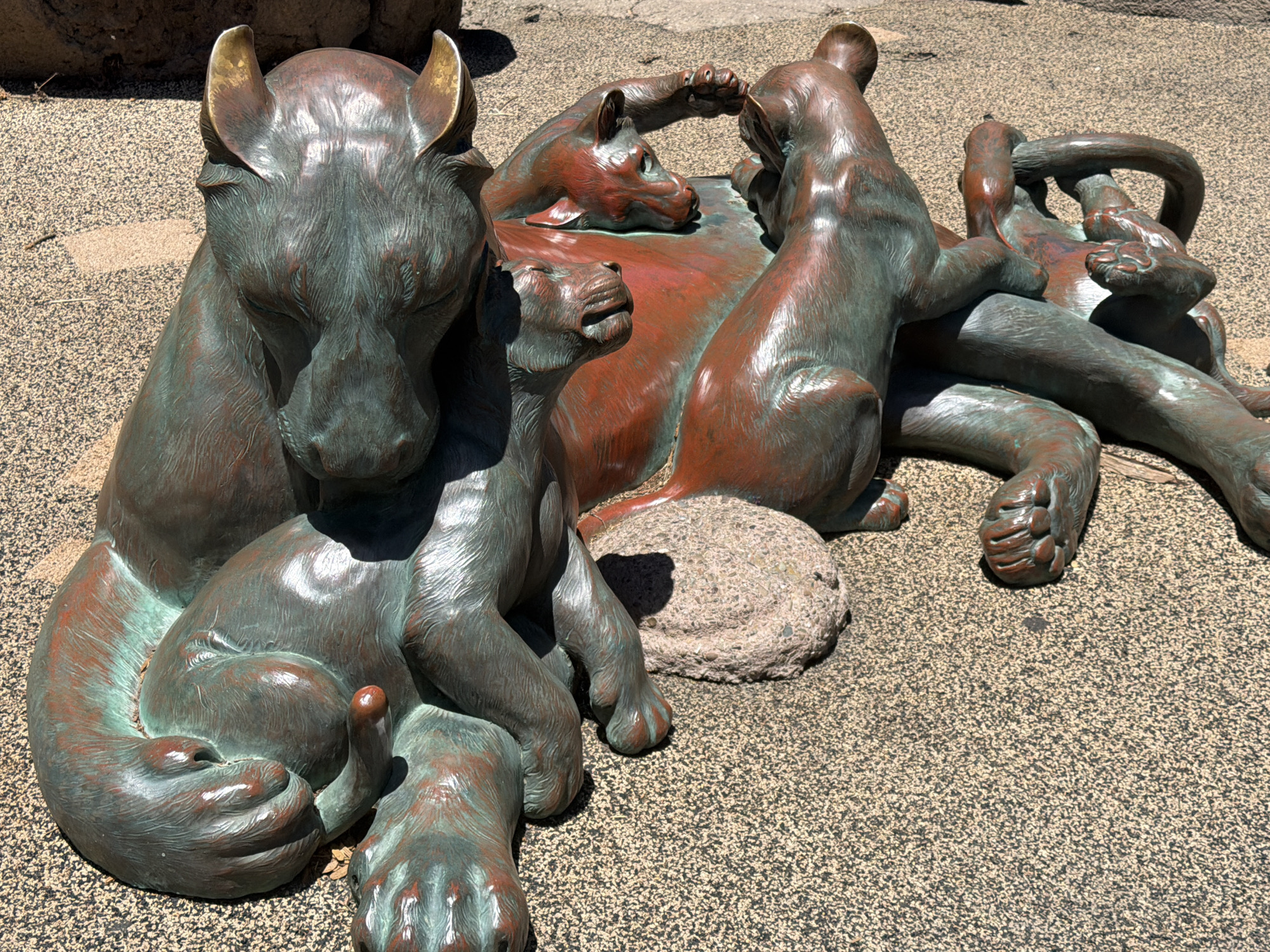 This is a full shot of a bronze sculpture of a lion family on a patterned concrete surface. The sculpture depicts a mother lion lying down with three cubs around her. The lions have a verdigris patina with undertones of copper. The mother lion's head is on the right, with her body extending to the left. One cub is nestled beside her head, facing left. Another cub is positioned in front of the mother, looking up. A third cub is curled up to the left of the mother, with its head resting on her leg. The sculpture is bathed in sunlight, casting shadows on the concrete. The concrete surface has a speckled appearance, with light brown and dark gray aggregate. The background shows a blurred hint of dark rocks. The setting is outdoors. This sculpture is located in front of the California Academy of Sciences in Golden Gate Park, San Francisco, California, United States of America.