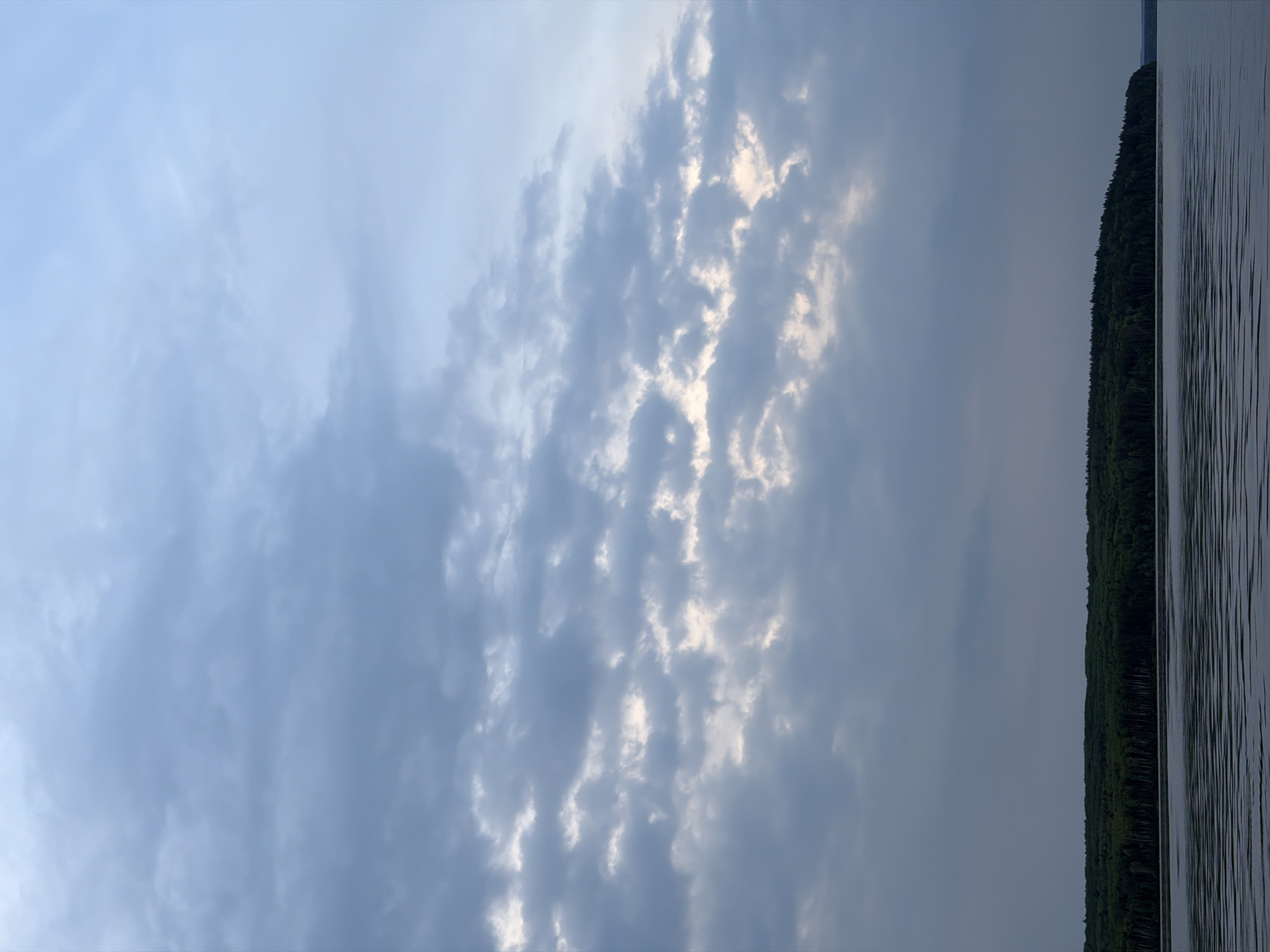The image depicts a serene natural landscape, likely oriented horizontally with the water and land at the bottom and the sky above. The scene primarily features a vast sky, a forested shoreline, and a body of water.
The majority of the image is dominated by the sky, filled with an extensive canopy of clouds. These clouds range in density and form; some areas on the left exhibit lighter, more diffused clouds in a soft blue hue, while towards the center and right, the clouds are denser and more textured, creating a lumpy, broken pattern. Patches of brighter, diffused light break through these thicker clouds, suggesting the sun is hidden behind them, illuminating parts of the cloud cover from above. The overall sky color is a mix of light blue and various shades of grey.
Below the sky, a dark, continuous line of dense trees forms the horizon, appearing as a deep green or almost black silhouette against the lighter backdrop. This indicates a thick, forested shoreline. To the right of this tree line, a body of water is visible. Its surface is marked by distinct, parallel ripples, suggesting a calm condition with gentle movement, perhaps from a light breeze or current. The water reflects the subdued light from the cloudy sky, appearing in cool tones of grey and blue.
The time of day appears to be either early morning or late afternoon, characterized by the diffused light filtering through the clouds. The weather is cloudy. There are no people or specific activities visible, emphasizing the natural, undisturbed environment. The scene evokes a sense of tranquility and quiet contemplation. There is no visible text in the image. Given the context, this landscape could be a view of a river or lake in the vicinity of Chaikovsky, Russia.