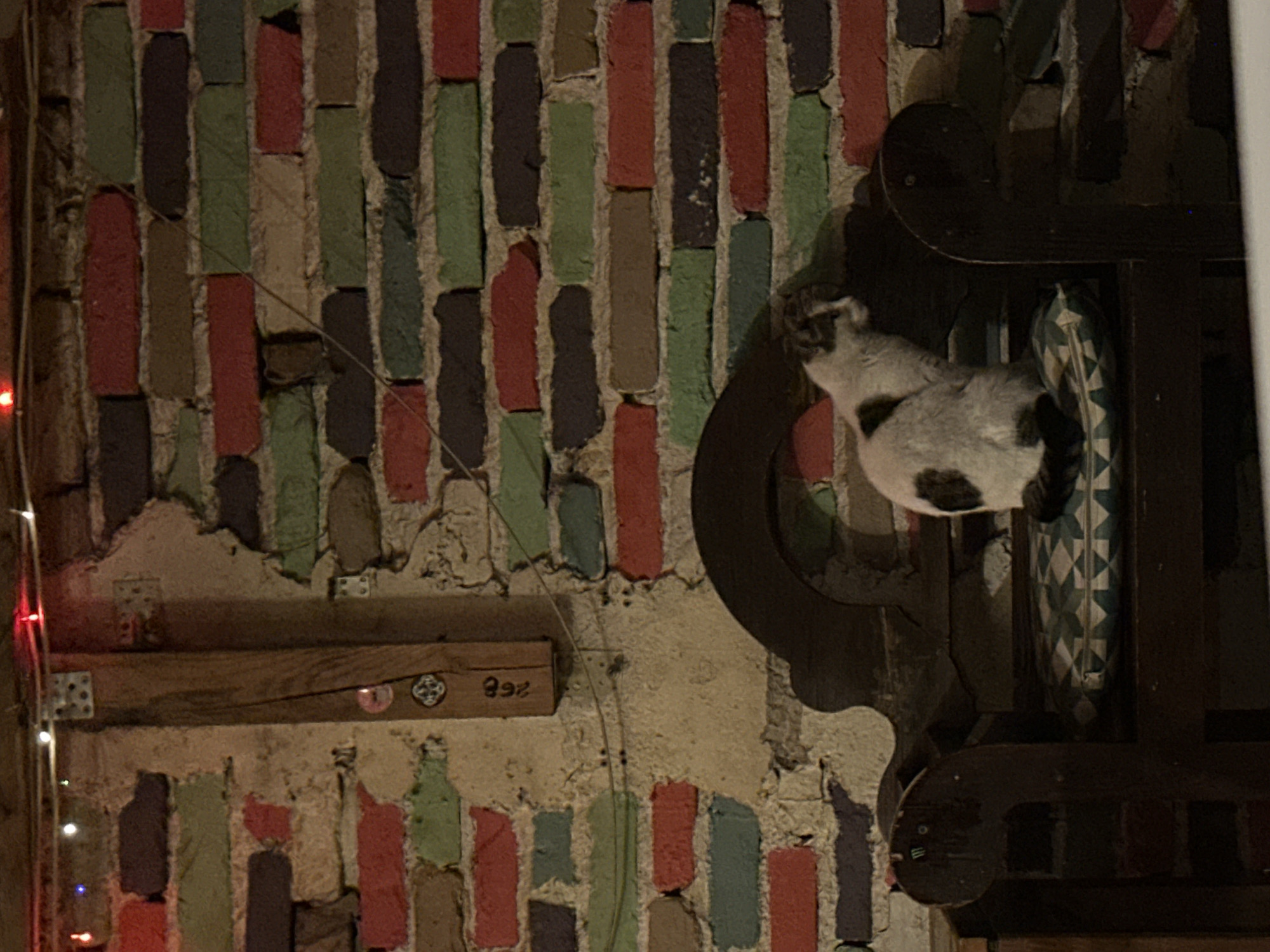 The scene depicts an interior space featuring a single animal subject. A domestic cat, predominantly white with irregular dark brown/black patches on its back and head, is seated on a light blue and white geometric-patterned cushion. The cushion rests on the seat of a dark-stained wooden bench with a high, ornately carved backrest and visible armrests. The cat is positioned facing towards the right side of the frame, with its head slightly turned, suggesting an observation of something outside the immediate view.
Behind the bench and cat, a brick wall is visible. The individual bricks are painted in a multi-color scheme, including red, various shades of green (light and dark), and brown. Sections of the wall exhibit chipped or missing plaster, revealing the natural brick and mortar beneath. A vertical wooden beam is mounted on the wall to the left of the cat; it bears the vertically oriented numbers "268" and a circular emblem above them. Metal brackets securing the beam are visible near the top. Along the uppermost edge of the image, a string of small, illuminated decorative lights (fairy lights) is suspended, displaying white and a prominent red light. A thin wire or cable traverses the brick wall horizontally in the mid-left area.
The environment is characterized by dim, artificial lighting, creating distinct shadows, particularly on the right side of the cat and portions of the wall. The specific location within the city of Plovdiv, Bulgaria, is not identifiable from the visual information provided.