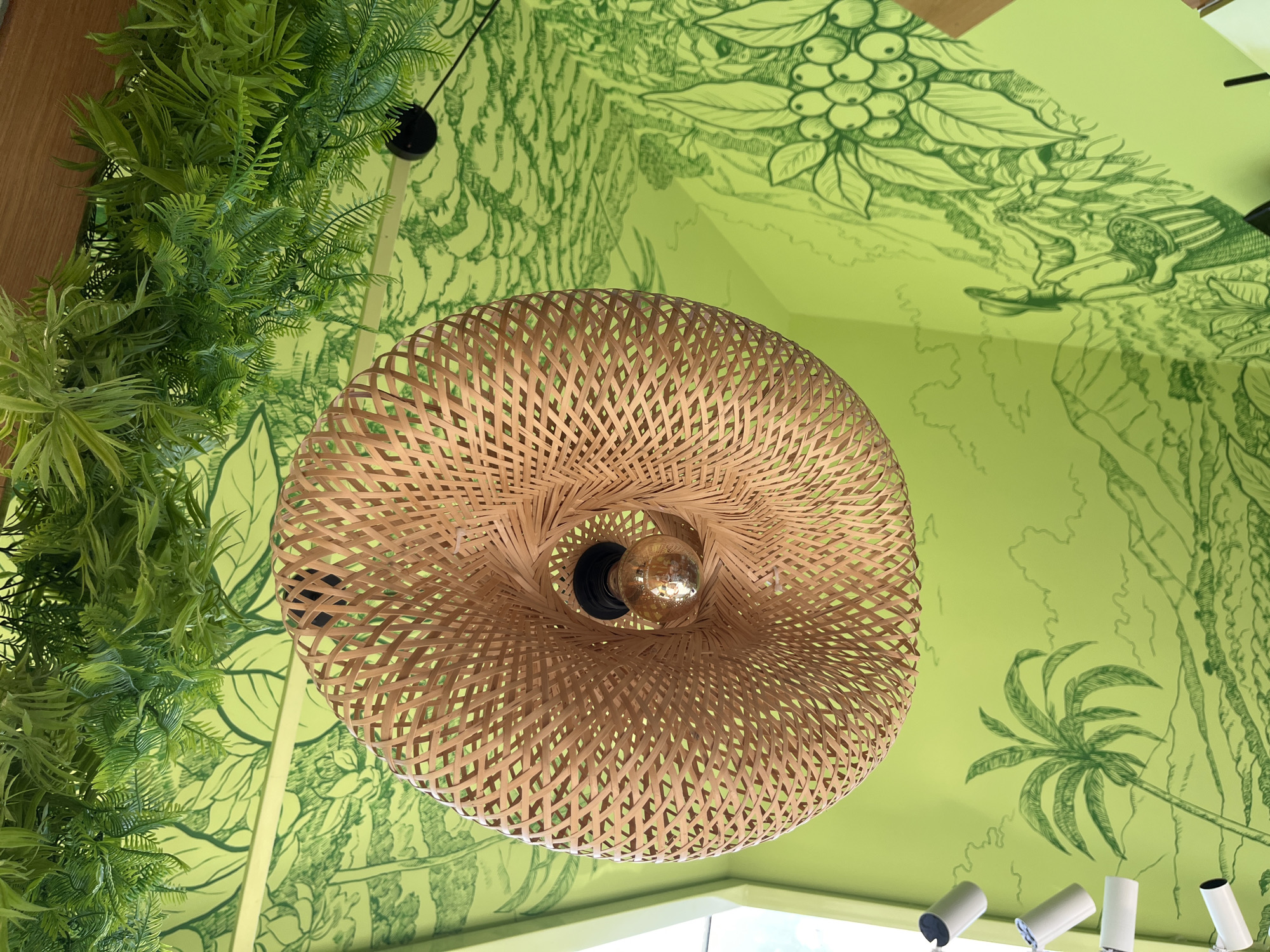 An overhead shot captures a woven, spherical lampshade hanging from a ceiling. The lampshade, made of light brown, woven material, has a circular opening at the bottom revealing a glowing, amber-colored lightbulb. The ceiling itself is painted a bright, lime green and features a detailed, green line-art mural depicting a tropical landscape. The mural includes illustrations of a palm tree, rolling hills, clouds, and a person harvesting coffee beans. Artificial green foliage is draped along the edge of the ceiling, creating a lush, natural effect. Several white cylindrical light fixtures are also visible on the wall.